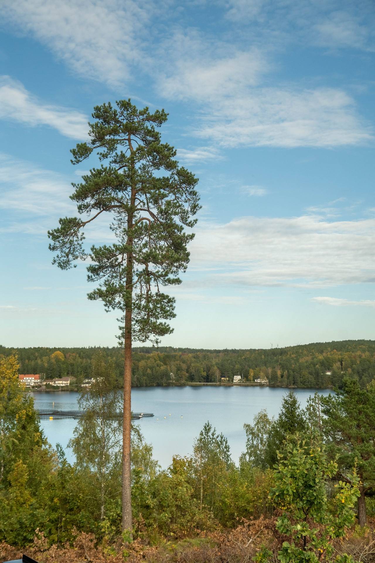 6 rum villa på Tallvägen 18 Åsensbruk, Melleruds kommun - bild 1