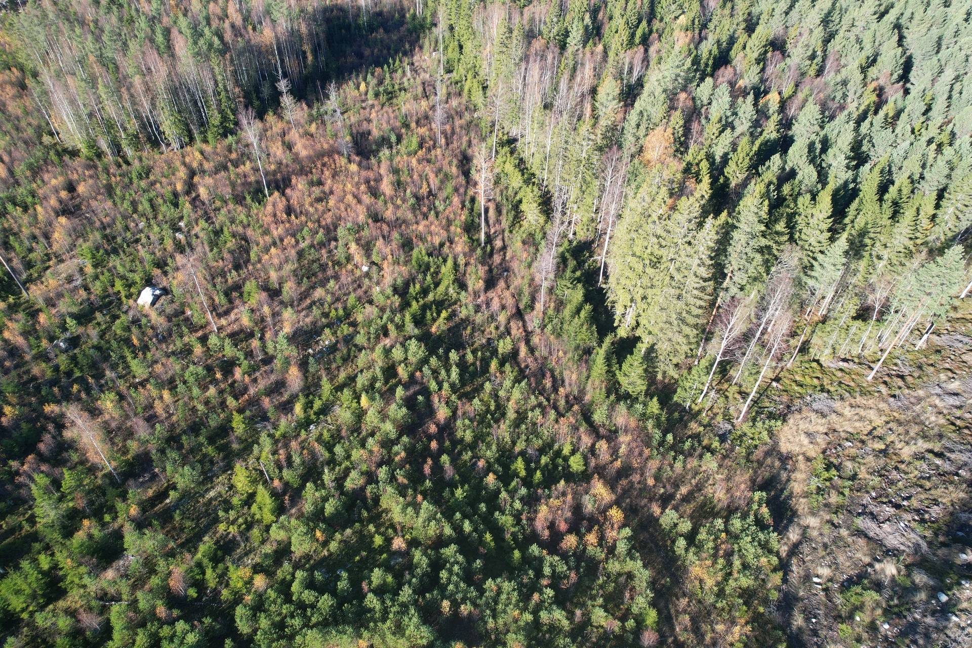 Gård med skogsbruk på Utanmyra Falu kommun - bild 37