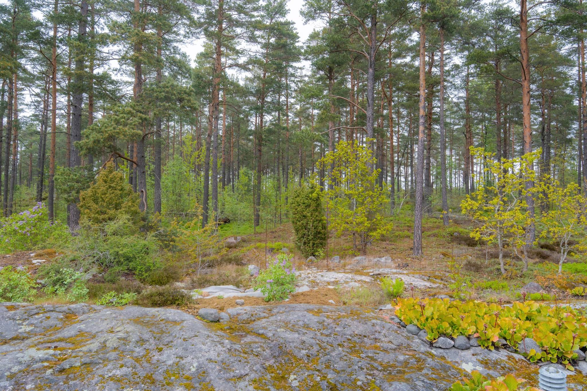 4 rum Villa på Djungelvägen 31 Sunda Oxelösunds kommun - bild 32