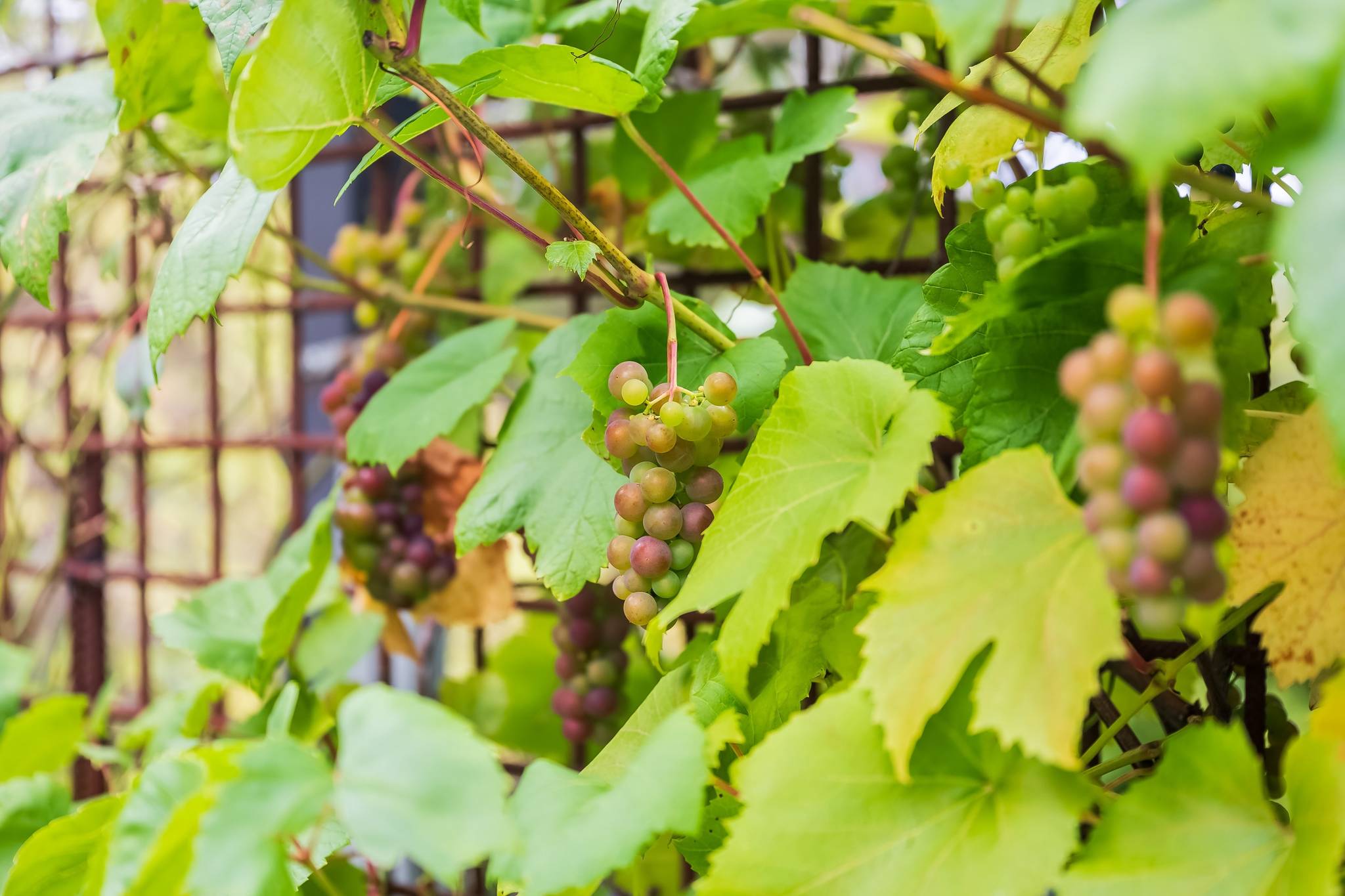 3 rum Villa på Klövstavägen 9 Lidatorp Nynäshamns kommun - bild 29