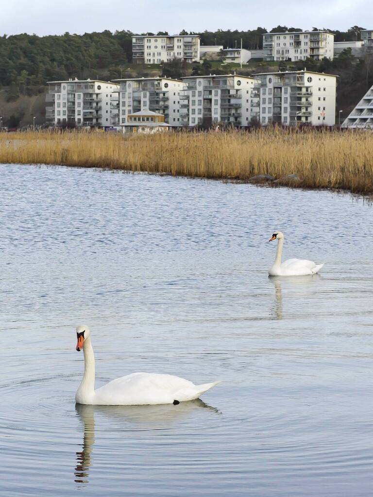 3 rum Lägenhet på Snäckgärdsvägen 58 Visby - Snäck Gotlands kommun - bild 20