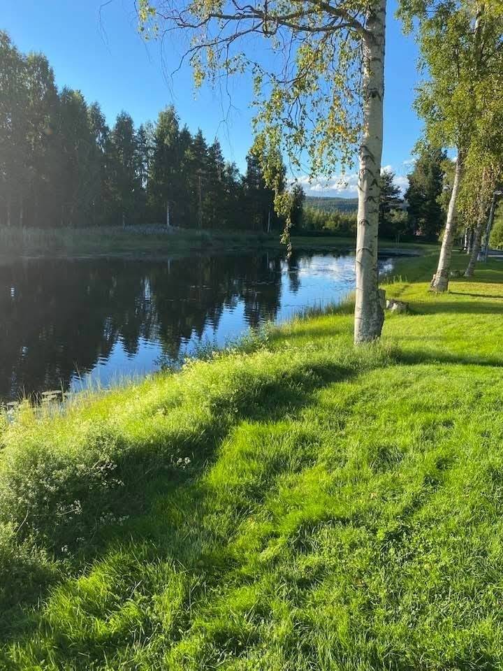 2 rum Villa på Rönningsvägen 21 Ockelbo kommun - bild 32