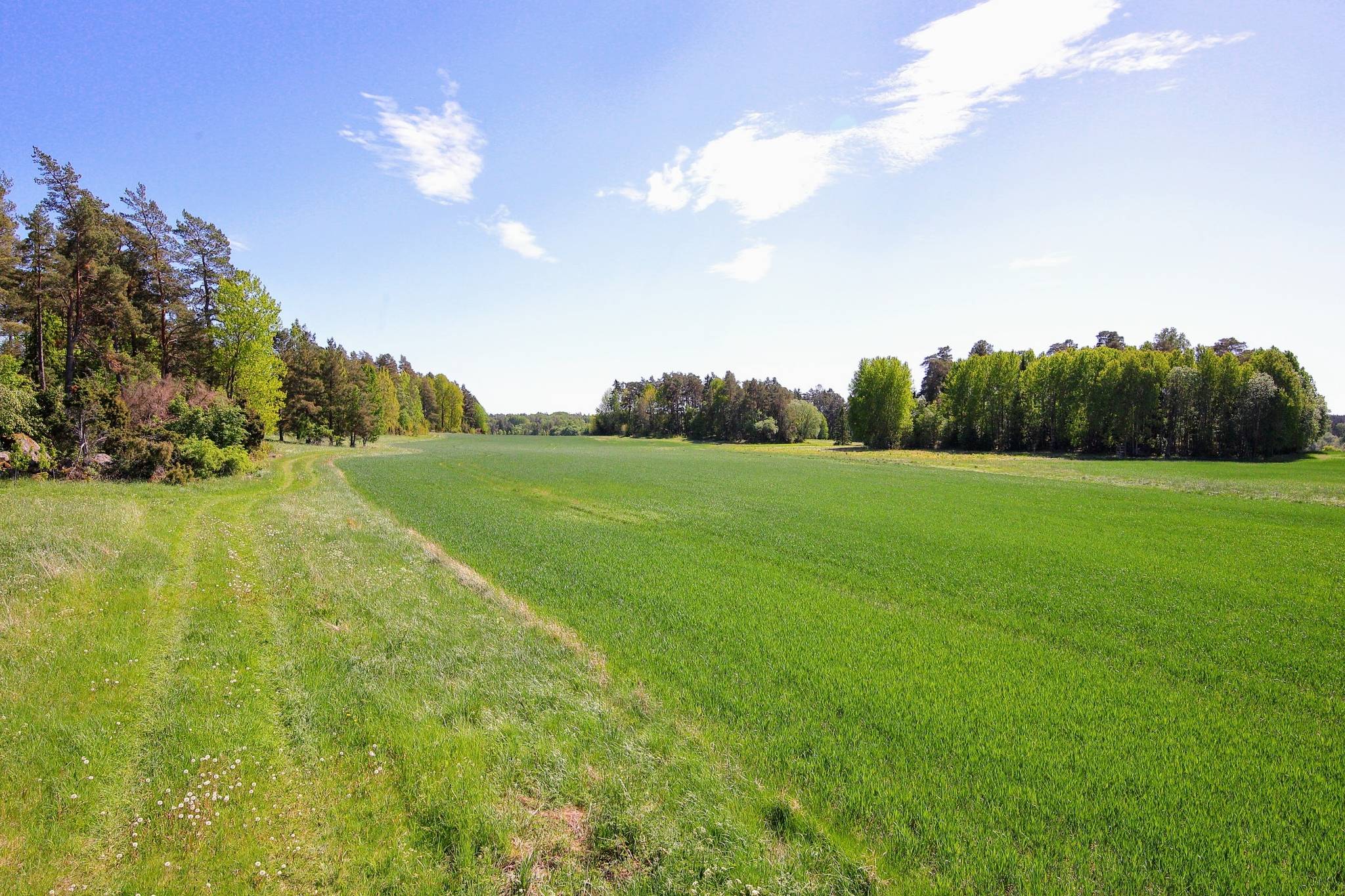 Gård med jordbruk på Kylsta 4:3 och 4:4 Torstuna Enköpings kommun - bild 8