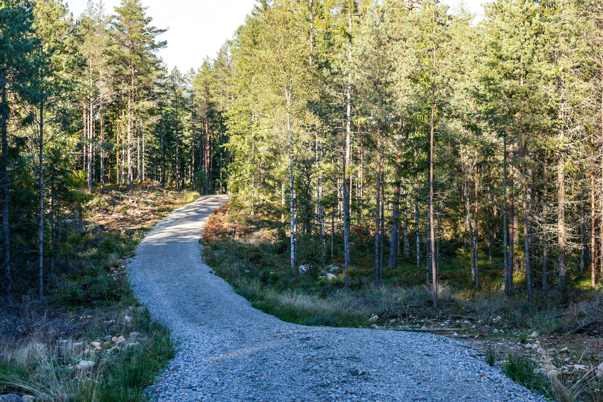 Gård/skog på SVENLJUNGA UGGLEBO 2:3 Örsås Svenljunga kommun - bild 2