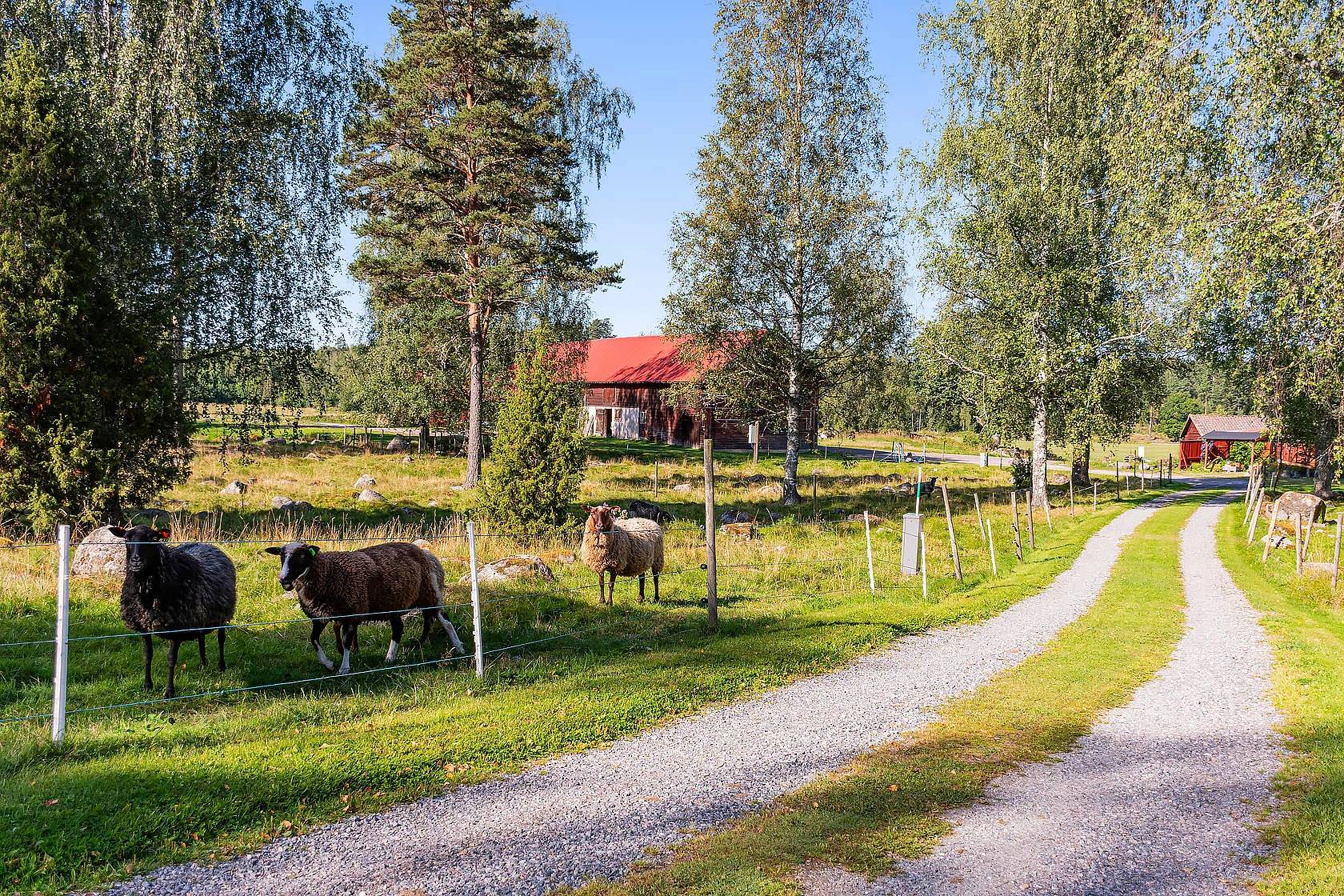 6 rum Gård utan jordbruk på Valltrand 2 Österåker Vingåkers kommun - bild 8