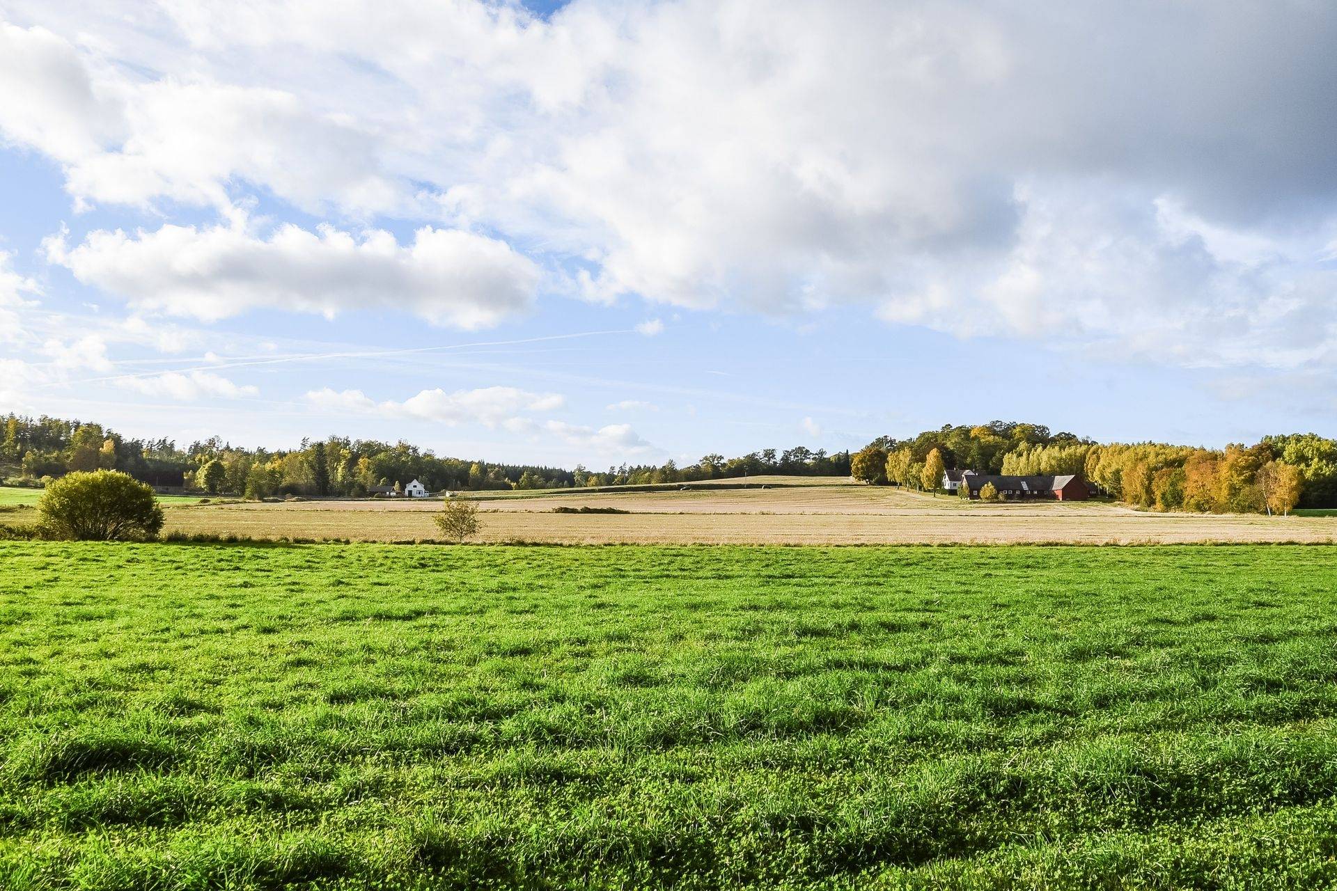 135 m² Gård med skogsbruk på Värestorp 2076 Östra Göinge kommun - bild 83