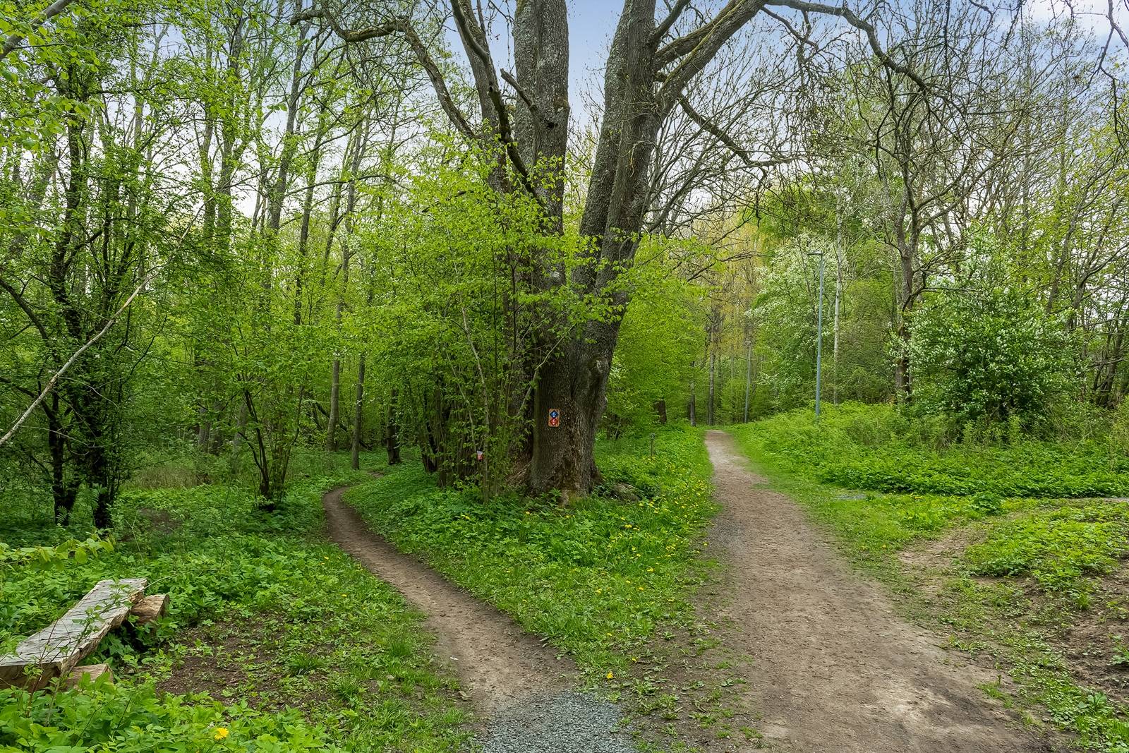 1.5 rum Lägenhet på Tunnlandsvägen 118C Kaxholmen Jönköpings kommun - bild 19