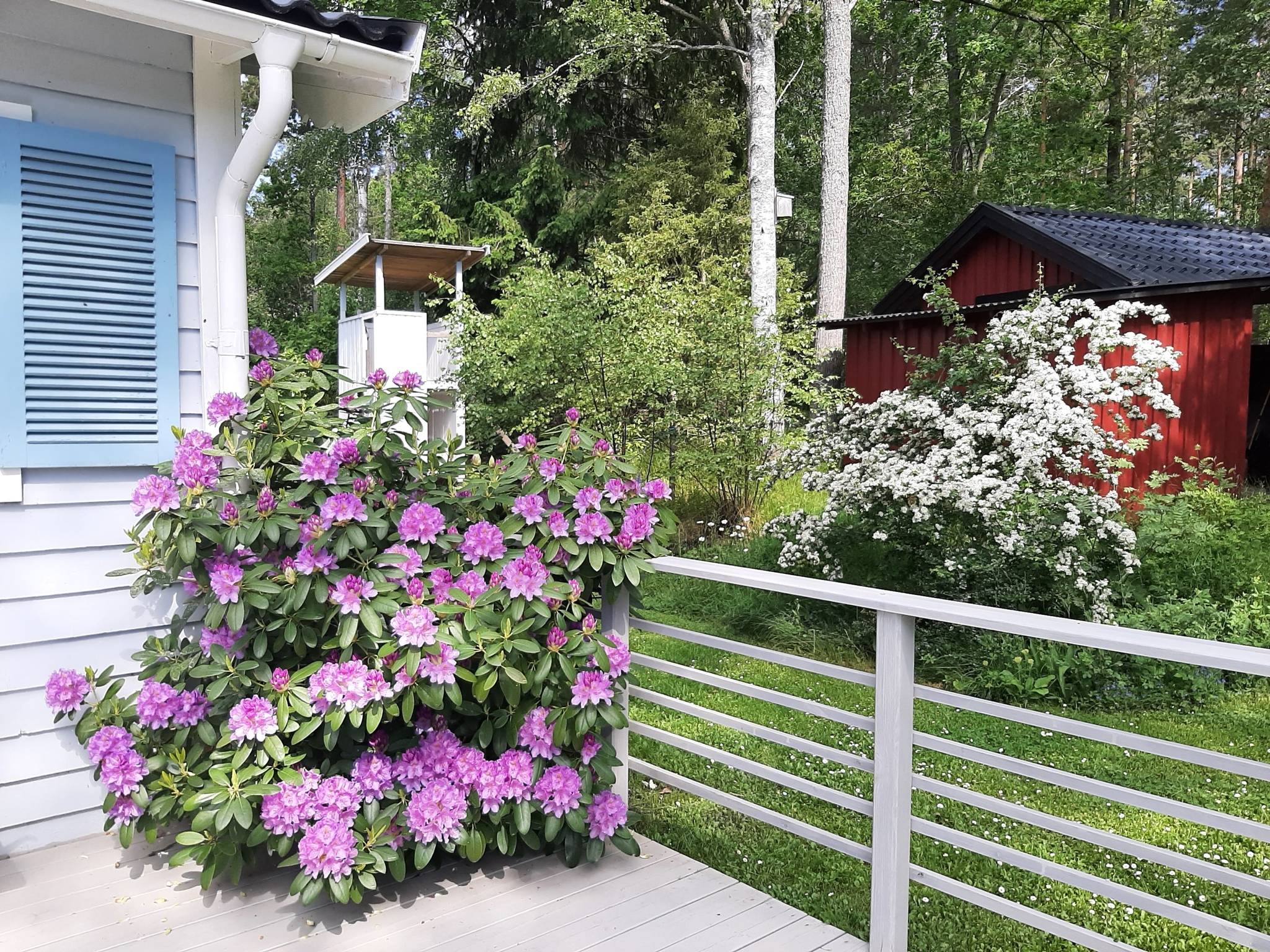 4 rum Fritidshus på Snäcknäsvägen 18 Snäckevarp Valdemarsviks kommun - bild 29