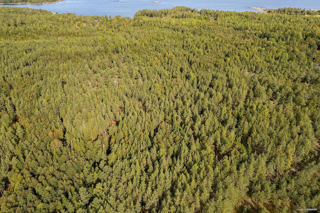 Gård med skogsbruk på Norrtälje Väddö-Backa 2:11 Norrtälje kommun - bild 4