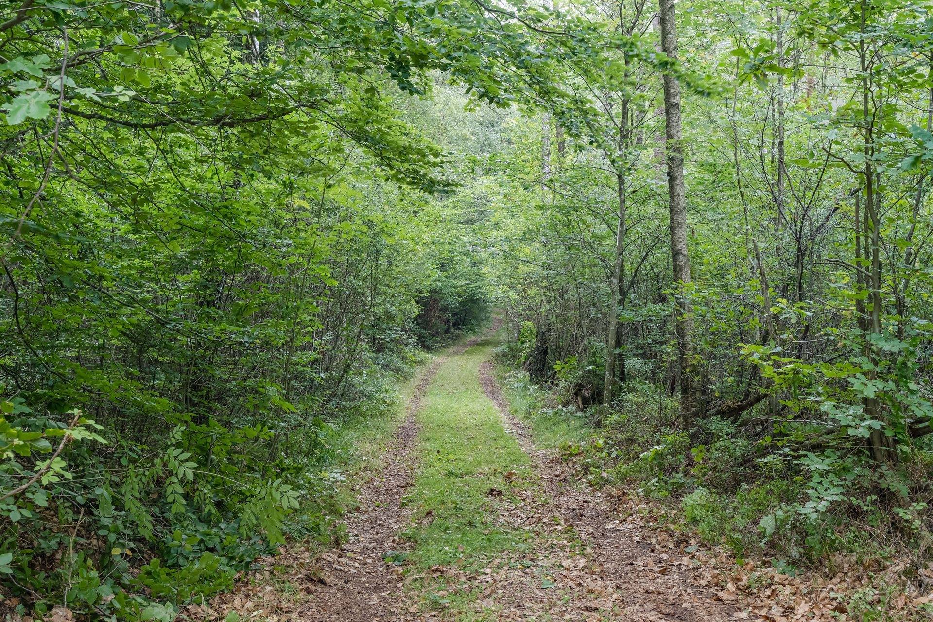 5 rum Gård/skog på Mjöalt 417 Simlångsdalen Halmstads kommun - bild 23