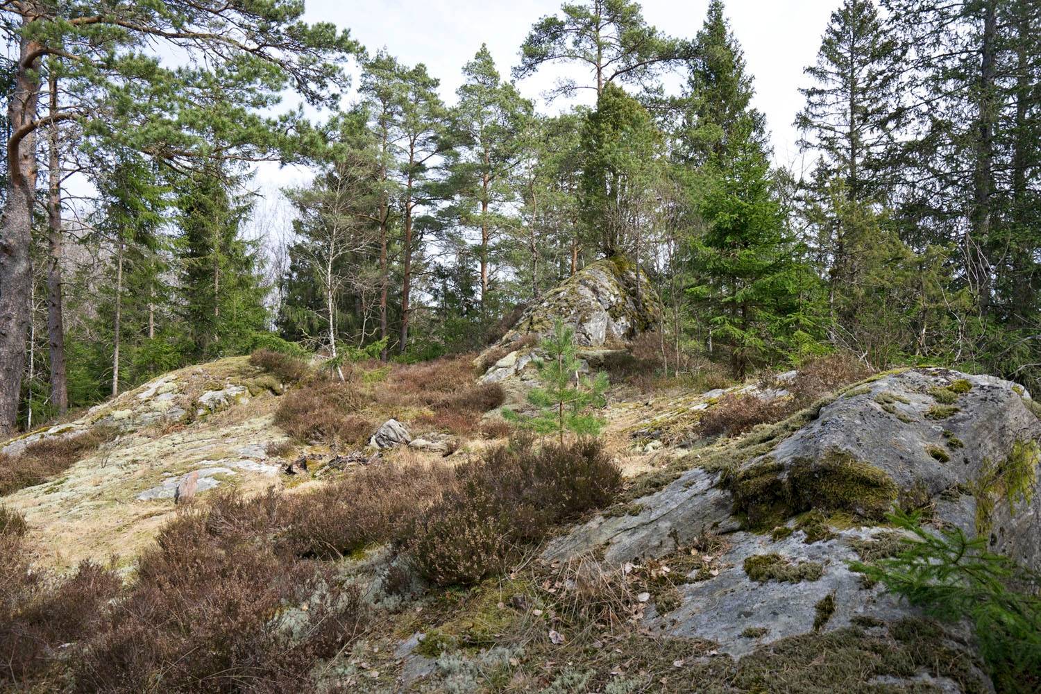 3 rum Villa på Surtandalen Madåsen Västergötland Marks kommun - bild 56