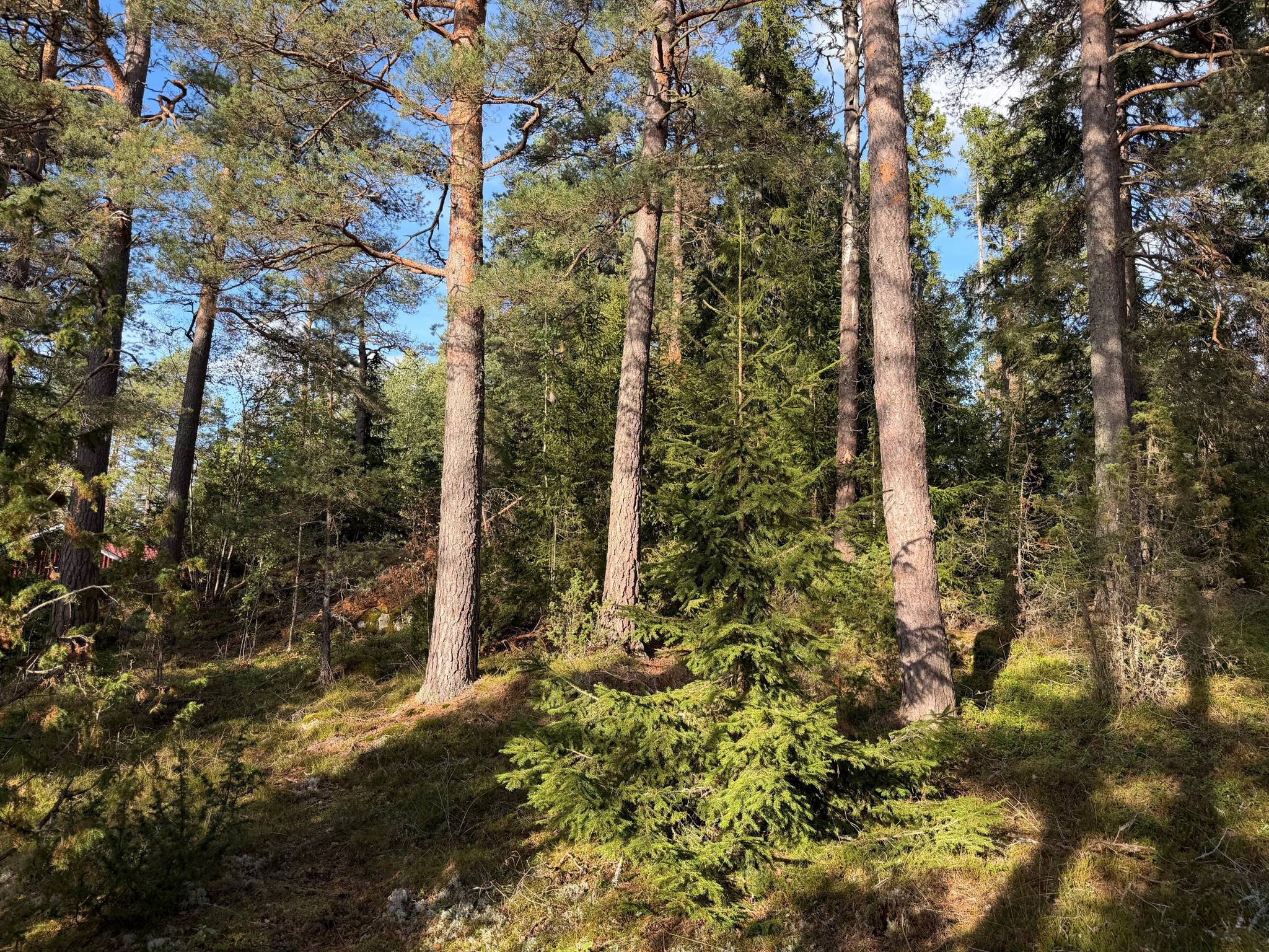 Norrbyggeby, Norrtälje kommun