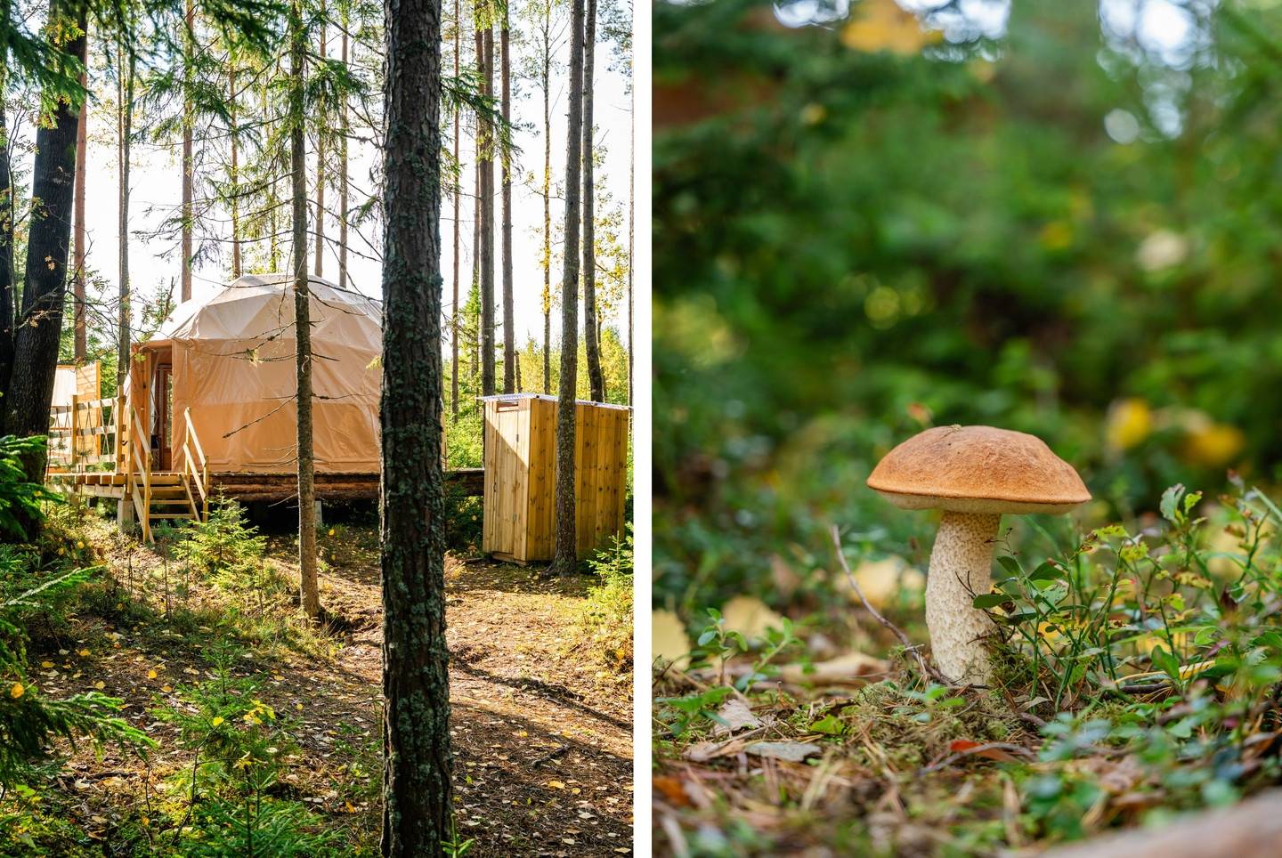 5 rum Gård/skog på Getebol Mossen Säffle kommun - bild 38
