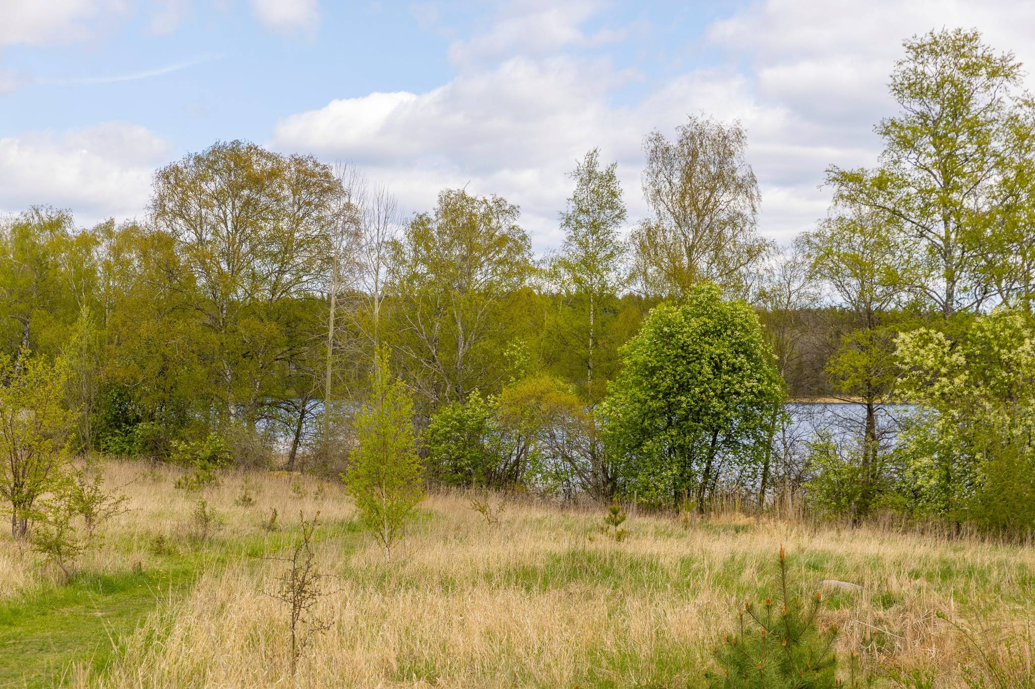 1 rum Lägenhet på Hövdingevägen 99 Väsjön Sollentuna kommun - bild 15