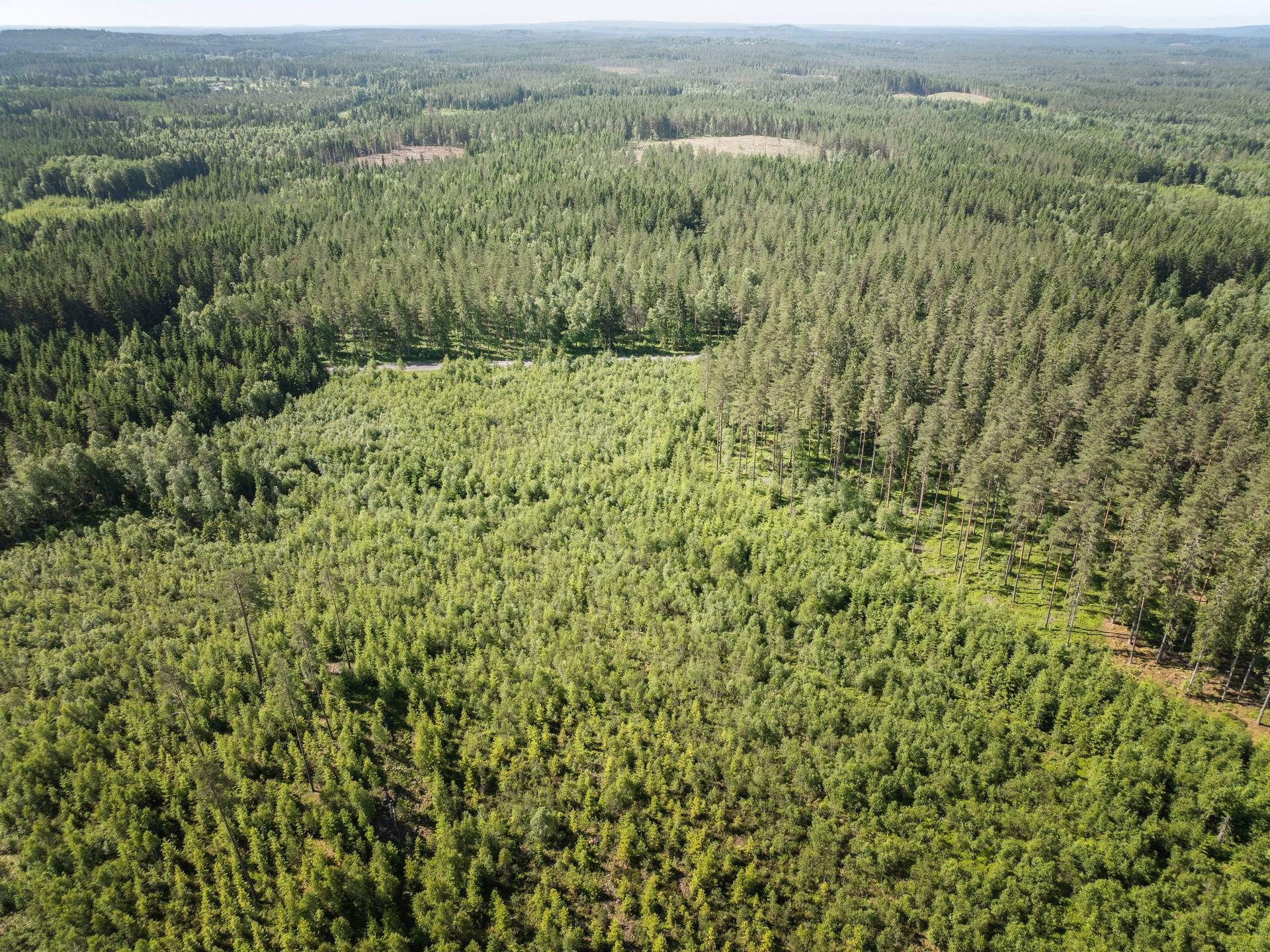 Gård med skogsbruk på Starrike Vaggeryds kommun - bild 2