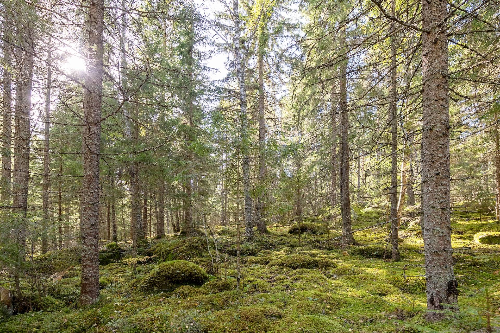 190 m² Gård med jordbruk på Djupviksängen Askersunds kommun - bild 23