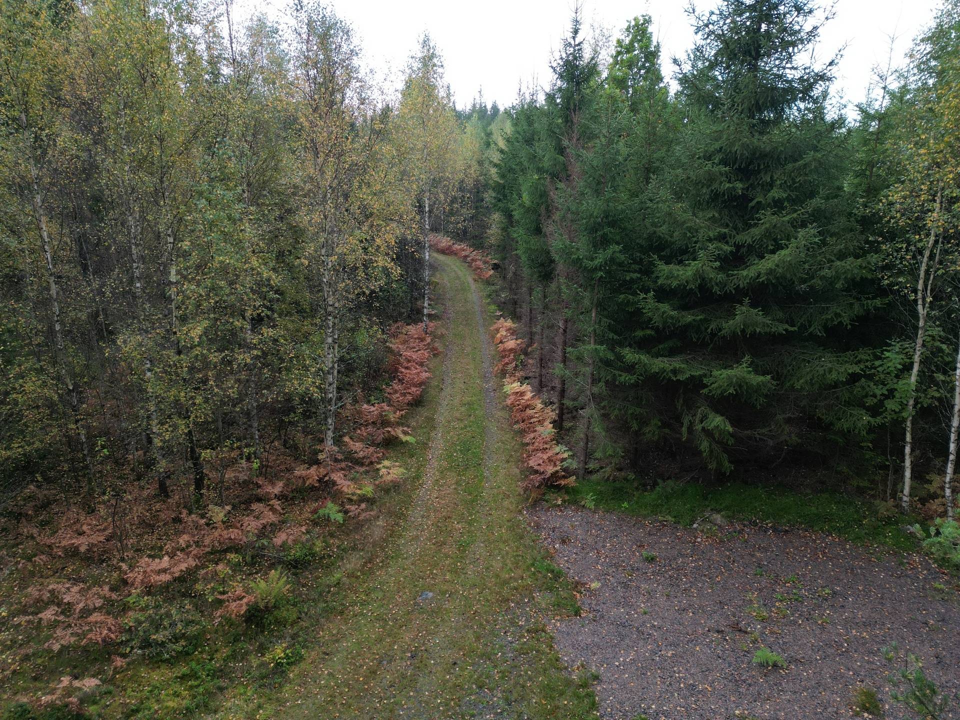 Gård med jordbruk på Yttrebo 107 Hylte kommun - bild 5