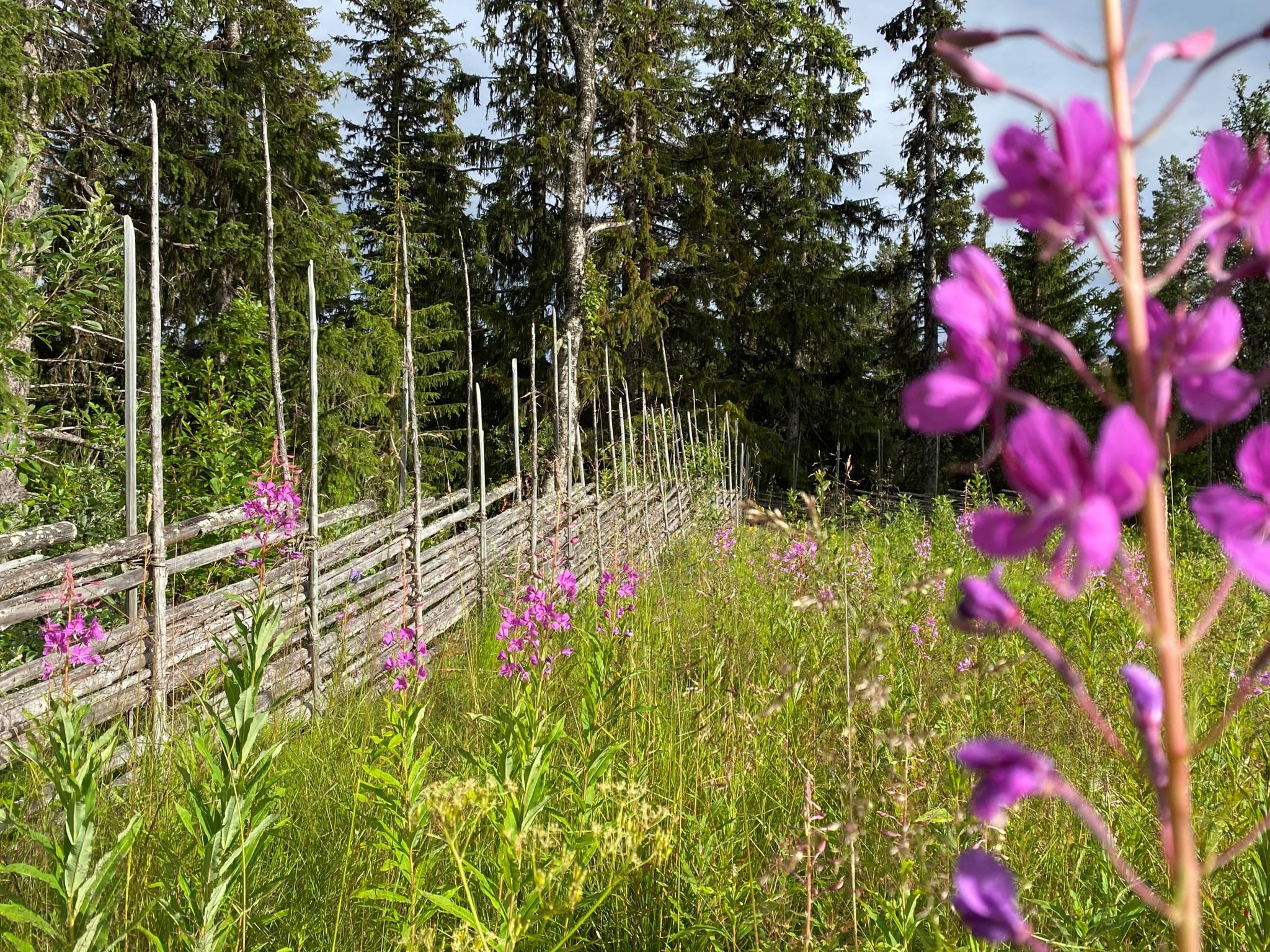 6 rum Fritidshus på Rörosvägen 168 Härjedalens kommun - bild 51