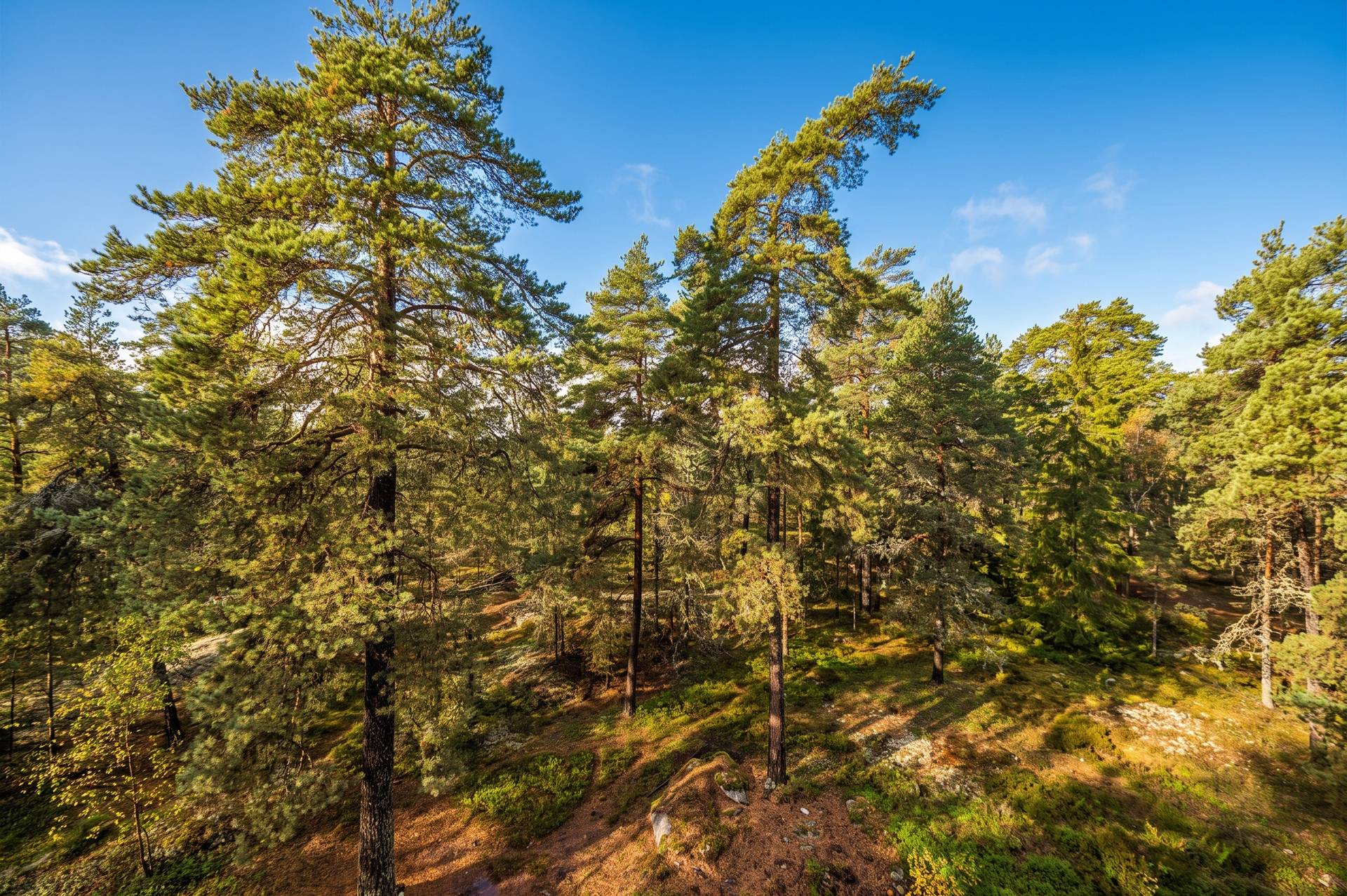 4 rum Lägenhet på Trombonstigen 13, 3tr Brunna - Kungsängen Upplands-Bro kommun - bild 16