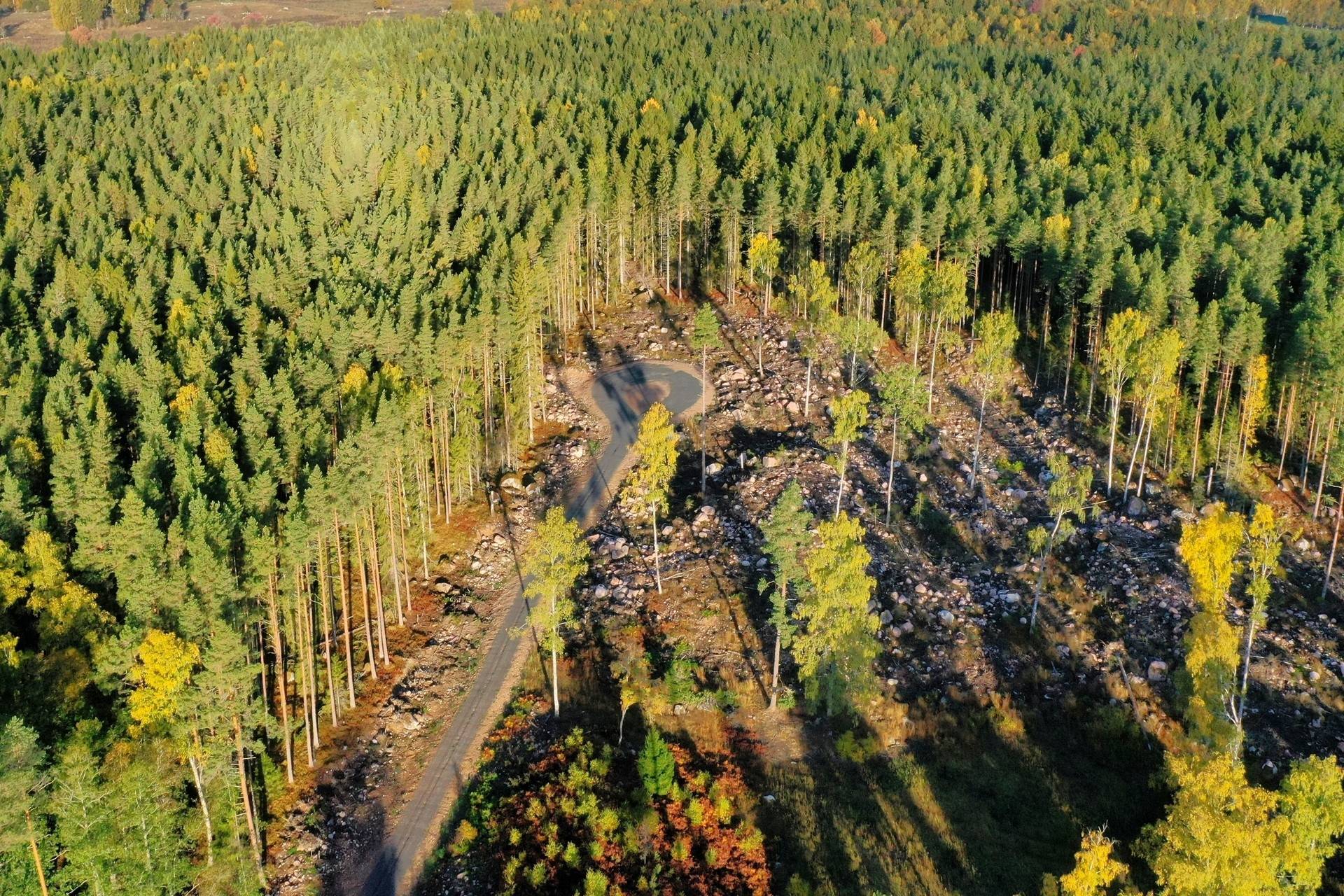 Gård med skogsbruk på Tierp Igelsbo 1:1 Örbyhus Tierps kommun - bild 8