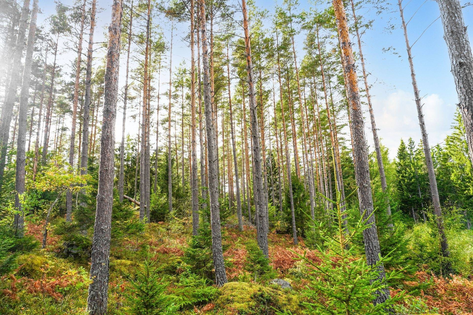 Edsbro, Norrtälje kommun