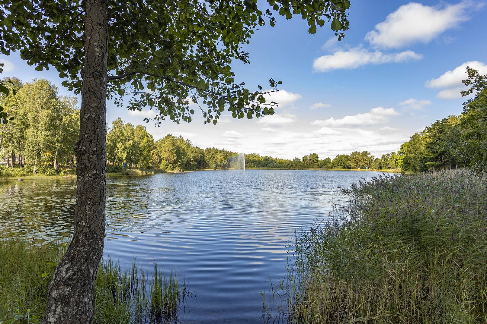 6 rum Villa på Strandvägen 13 Linneasjön Nybro kommun - bild 31