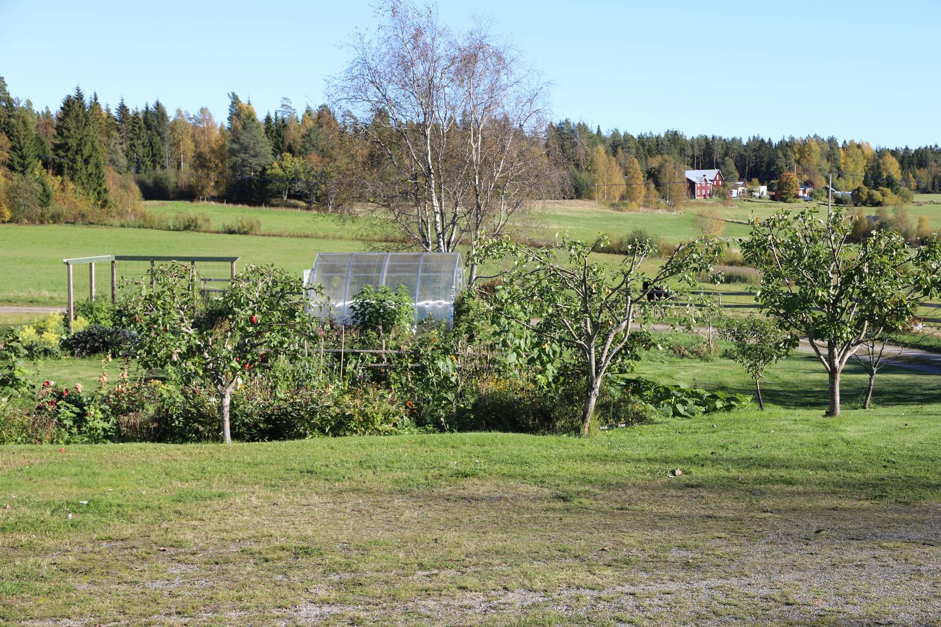 Gård med jordbruk på Kasa 145 Husum Örnsköldsviks kommun - bild 64