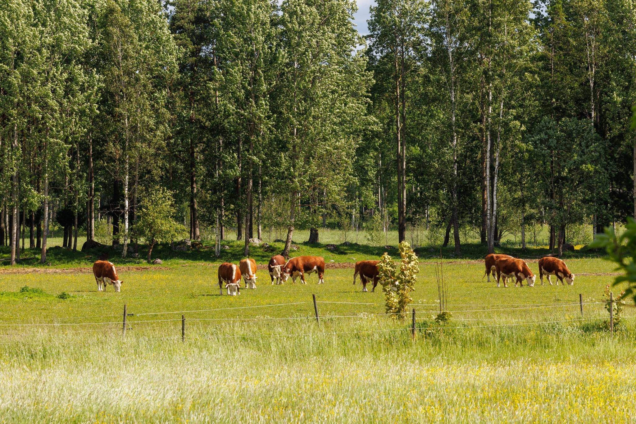 6 rum Villa på Bondsätter 412 Adolfsberg Örebro kommun - bild 47