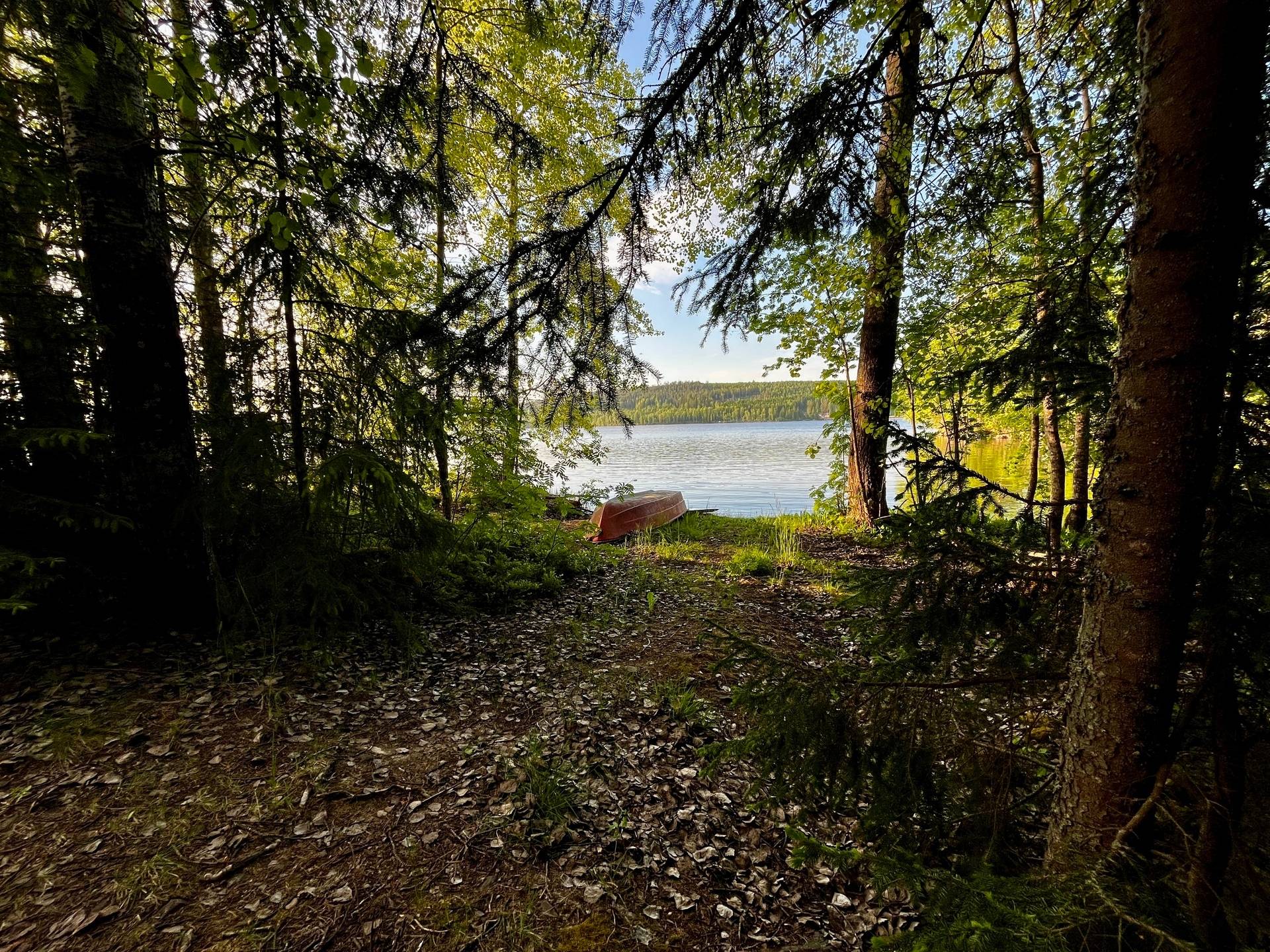 Gård utan jordbruk på Långsbyn Bergsveden 465 Bergsveden Hedemora kommun - bild 8