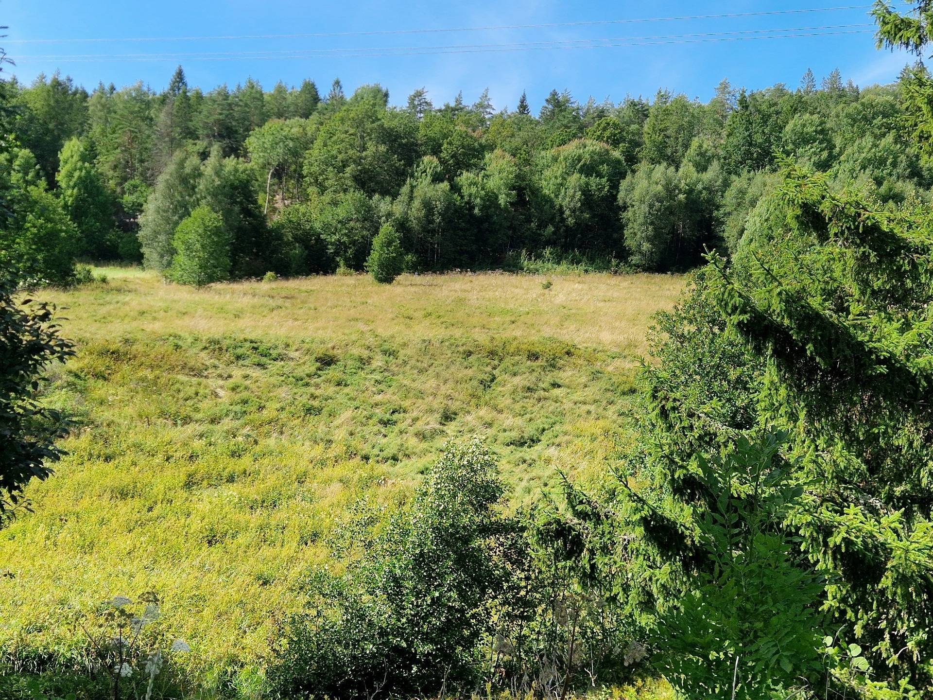 Gård med jordbruk på Herrestads Svenseröd 127 Uddevalla kommun - bild 29