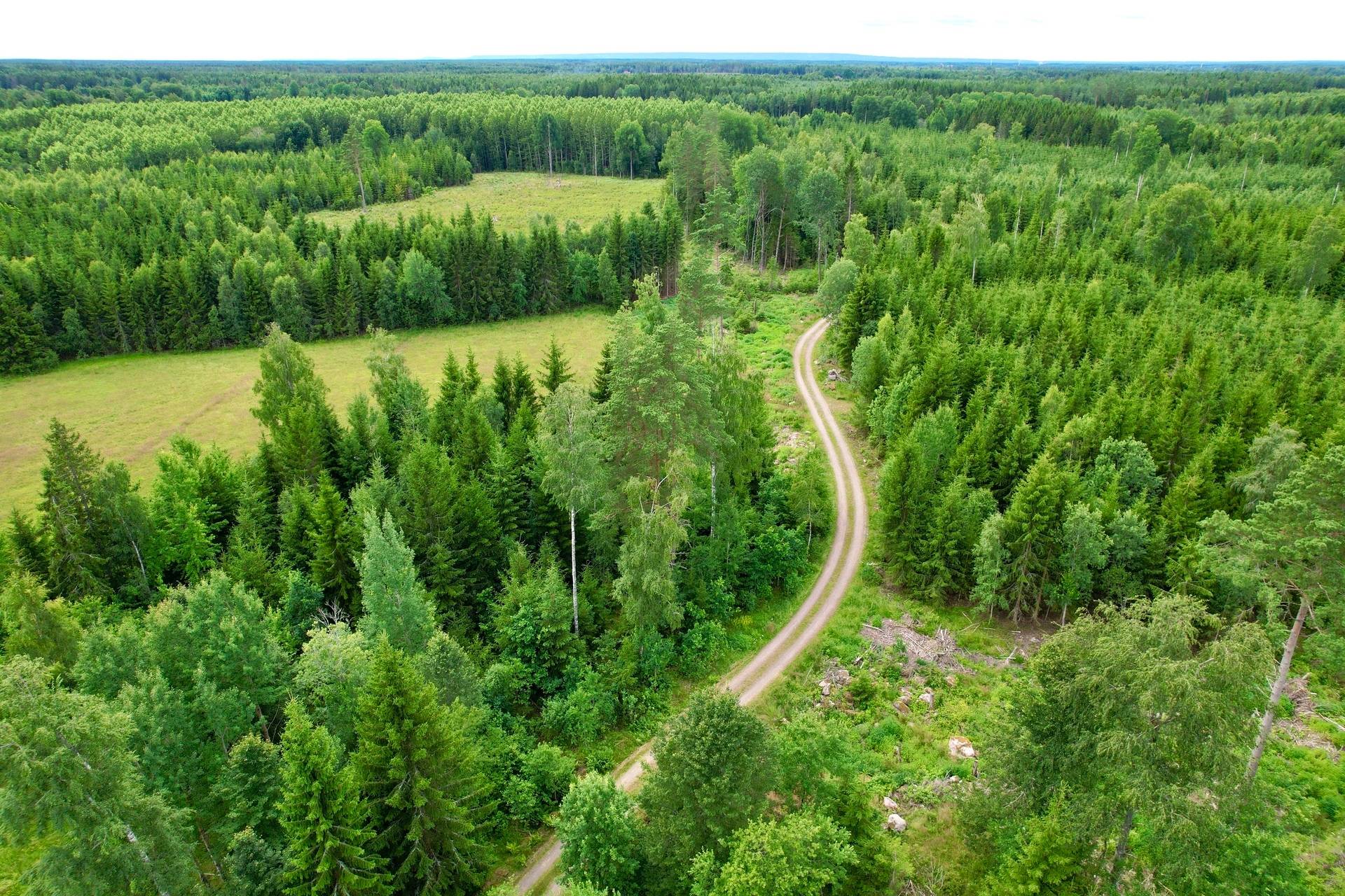 4 rum Gård med skogsbruk på Tåtorp Västra Sjötorp 14 Moholm Töreboda kommun - bild 58