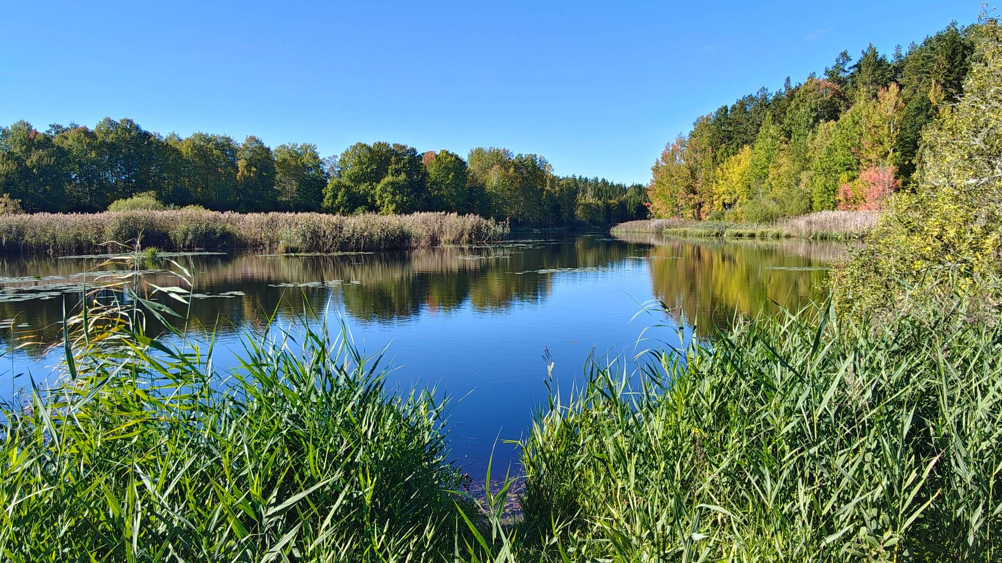 5.5 rum Villa på Häjan Landet 1 Olerum Söderköpings kommun - bild 50