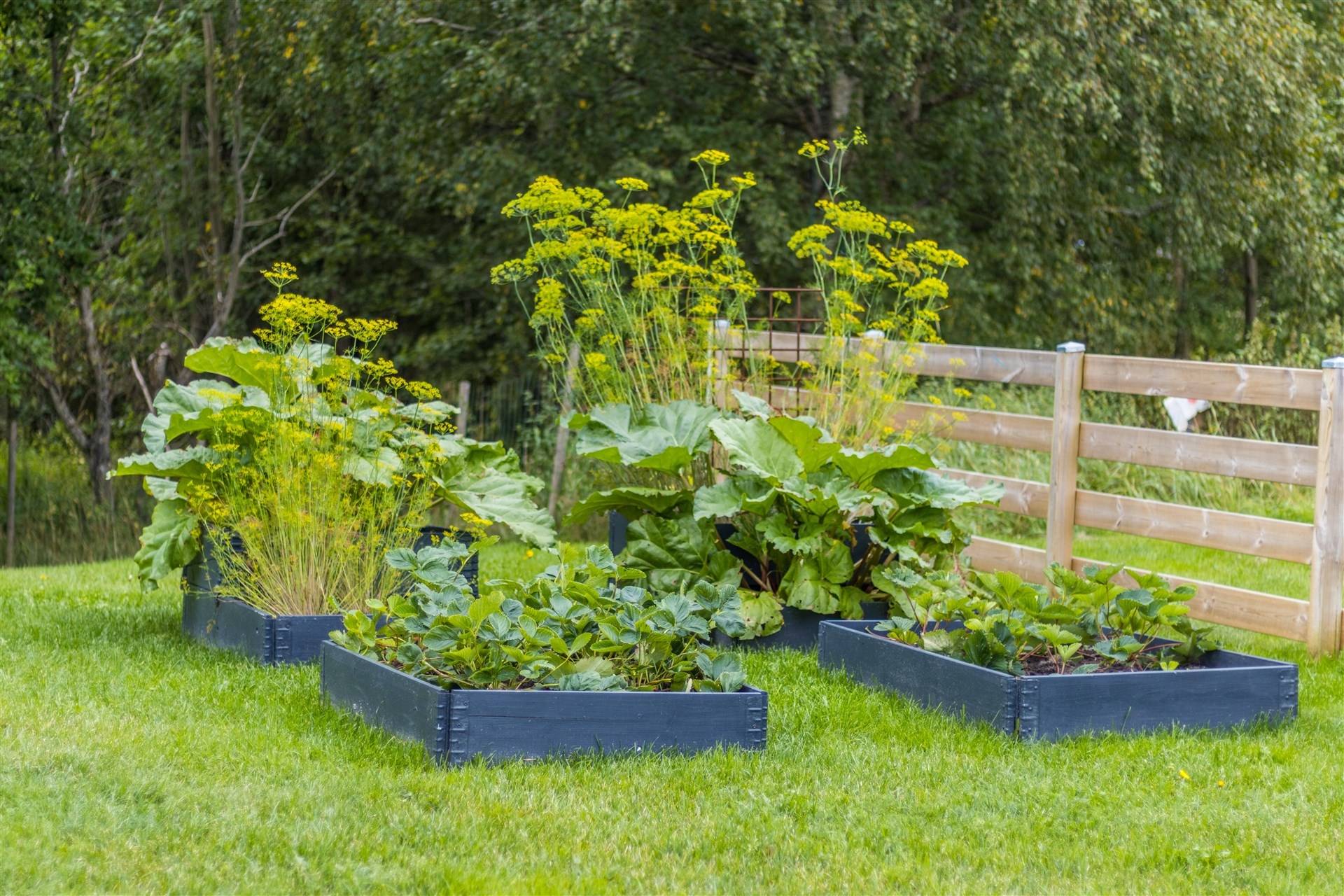 5 rum Villa på Nunnevägen 4 Myresjö Vetlanda kommun - bild 11