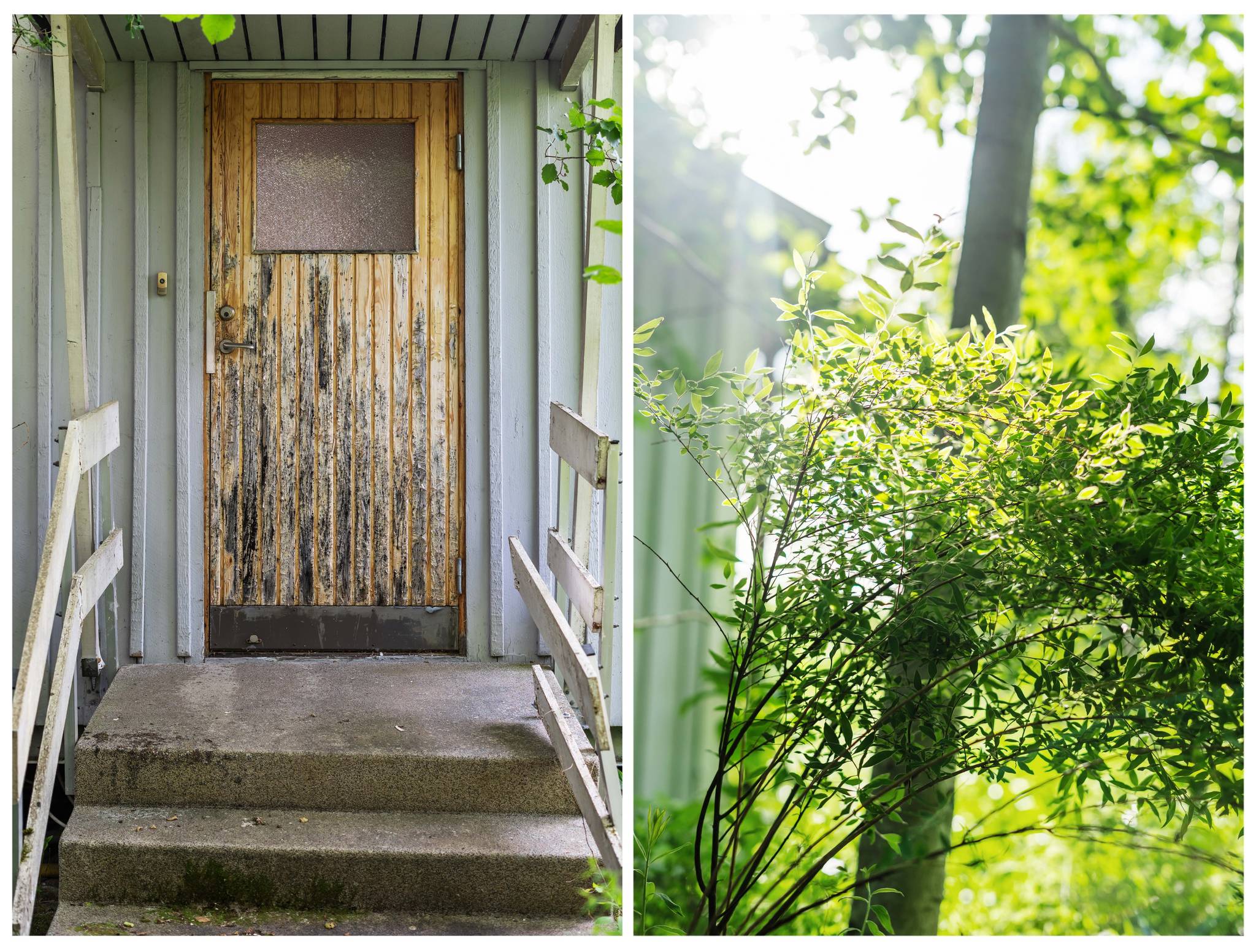 2 rum Fritidsboende på Åkerbärsstigen 1 Bergeforsen Timrå kommun - bild 6