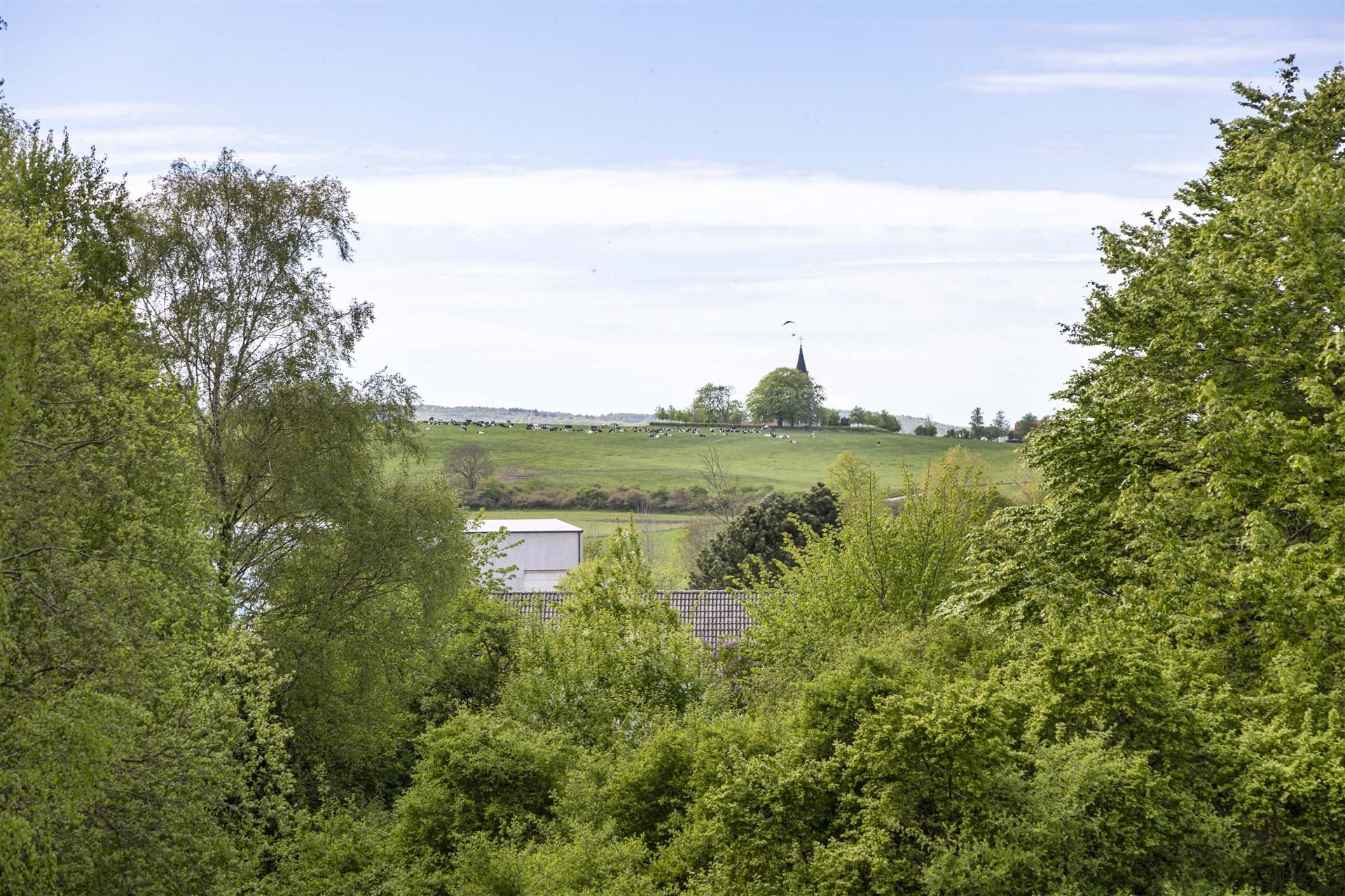5 rum Villa på Burtorpsvägen 15 Norra Utmarken Halmstads kommun - bild 3