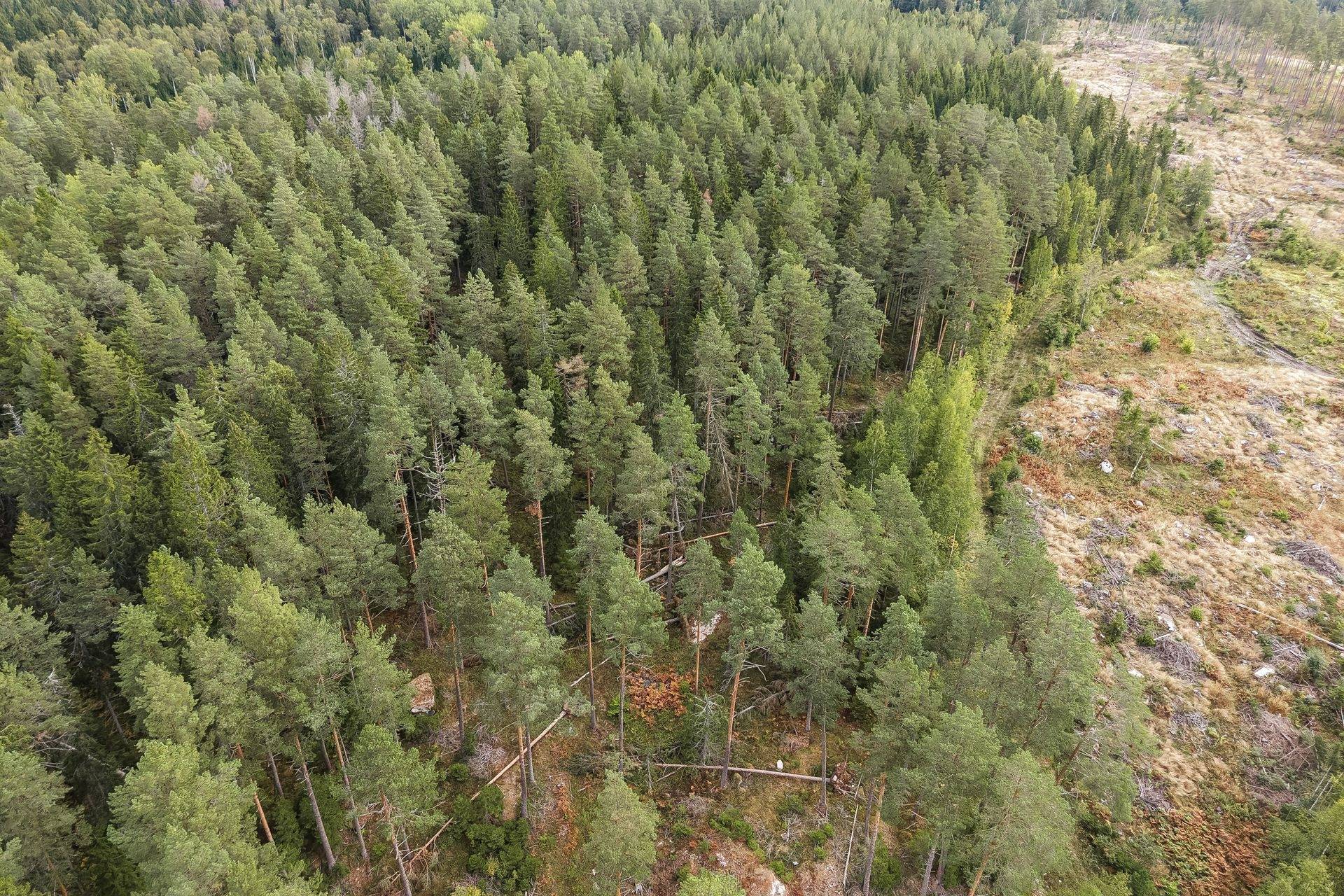 Gård med skogsbruk på Norrtälje Bro 4:8 & 8:1 Norrtälje kommun - bild 21