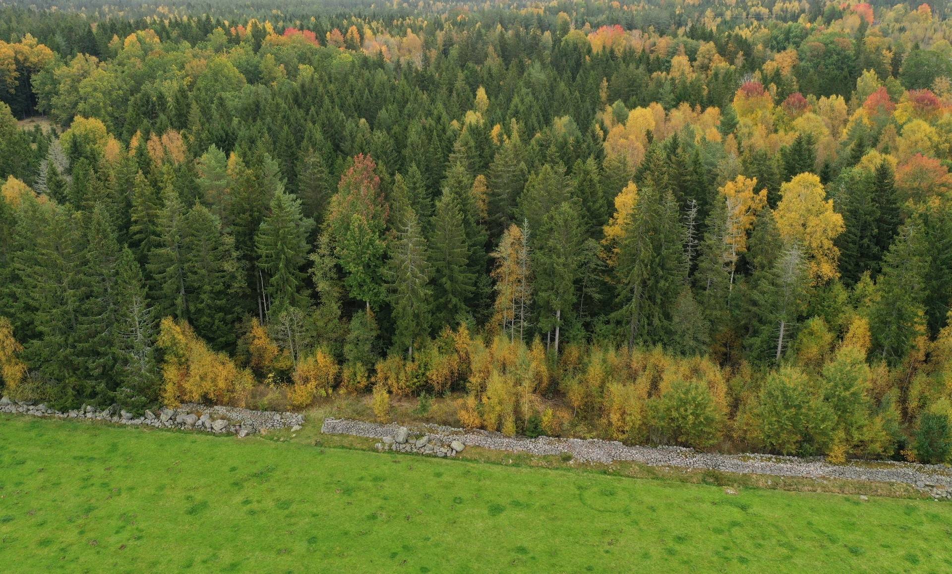 gård/skog på Lindås 120 Lindås, Nybro kommun - bild 2