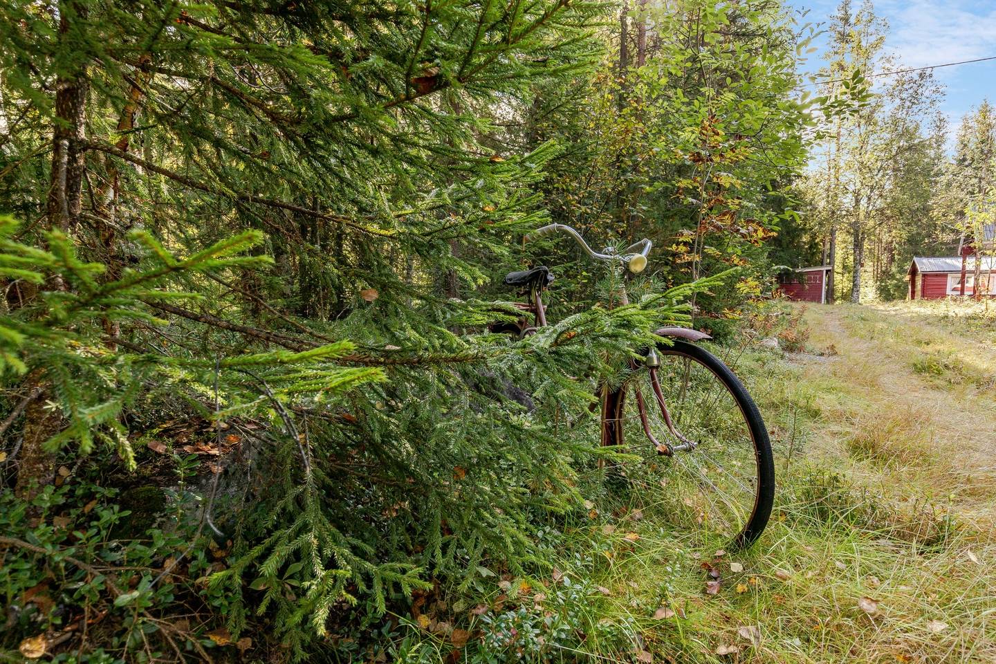 2 rum Fritidshus på Röjan 455 Rätan Bergs kommun - bild 23