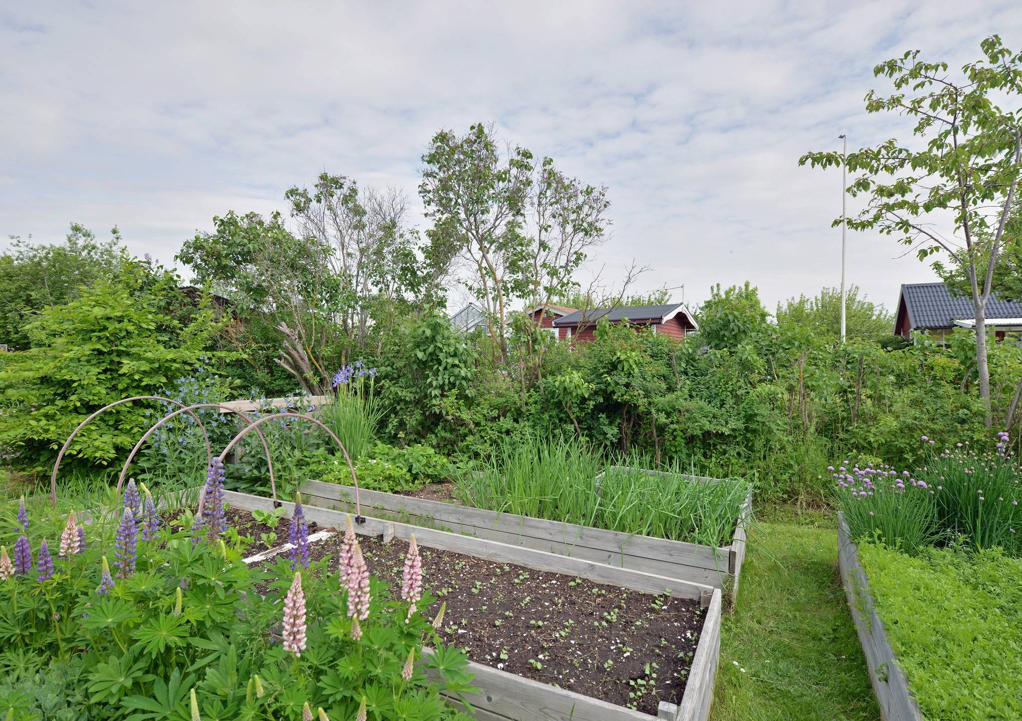 3 rum Fritidshus på Åsenborgsvägen 29 lott nr 368 Hälla koloniområde Västerås kommun - bild 20