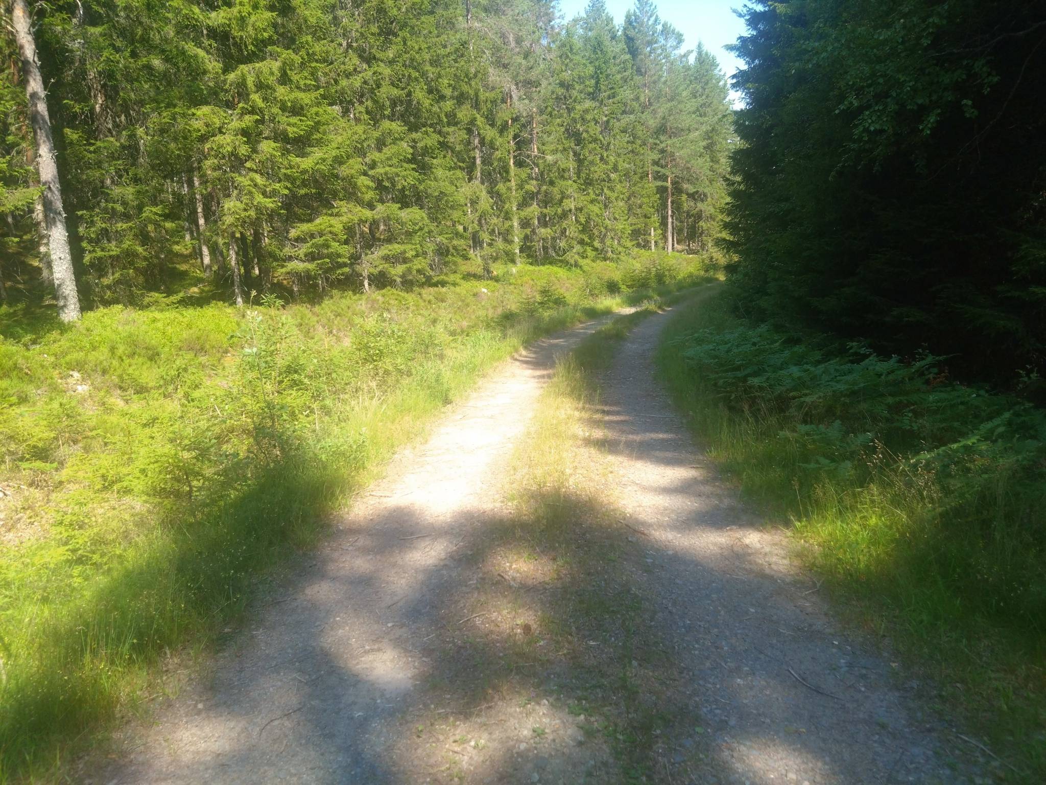Gård/skog på Hyttskogen Resta Lindesbergs kommun - bild 14