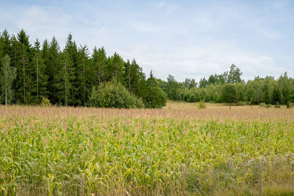 6 rum Villa på Särstadsvägen 14 Linghem Linköpings kommun - bild 7