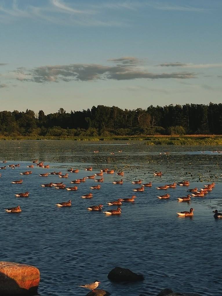 3 rum Lägenhet på Ulsavilagatan 39 Örebro kommun - bild 36