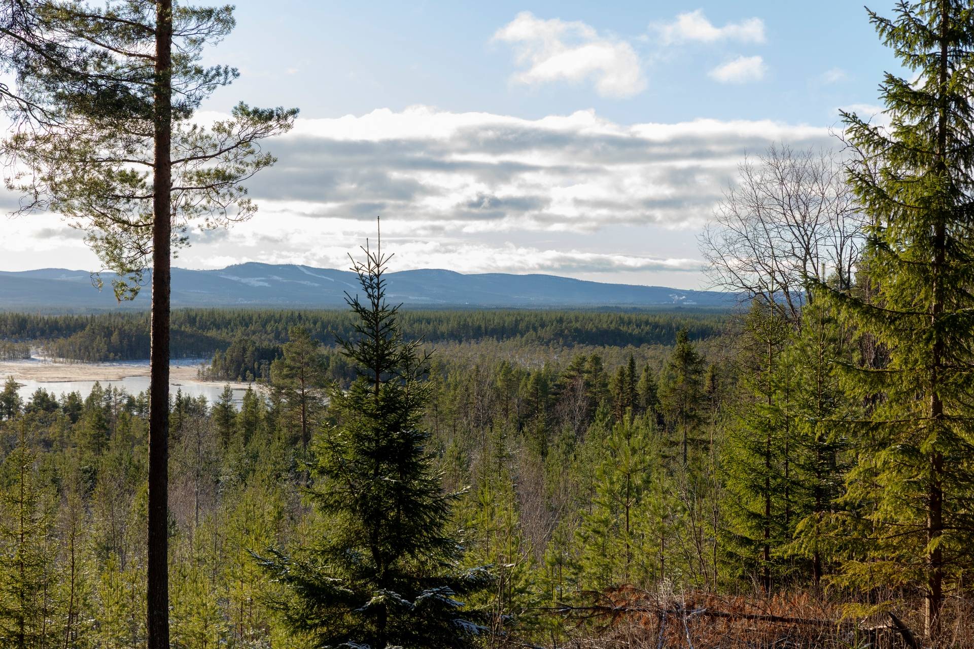 gård/skog på Ytterberg och Överhogdal Ytterhogdal, Härjedalens kommun - bild 1