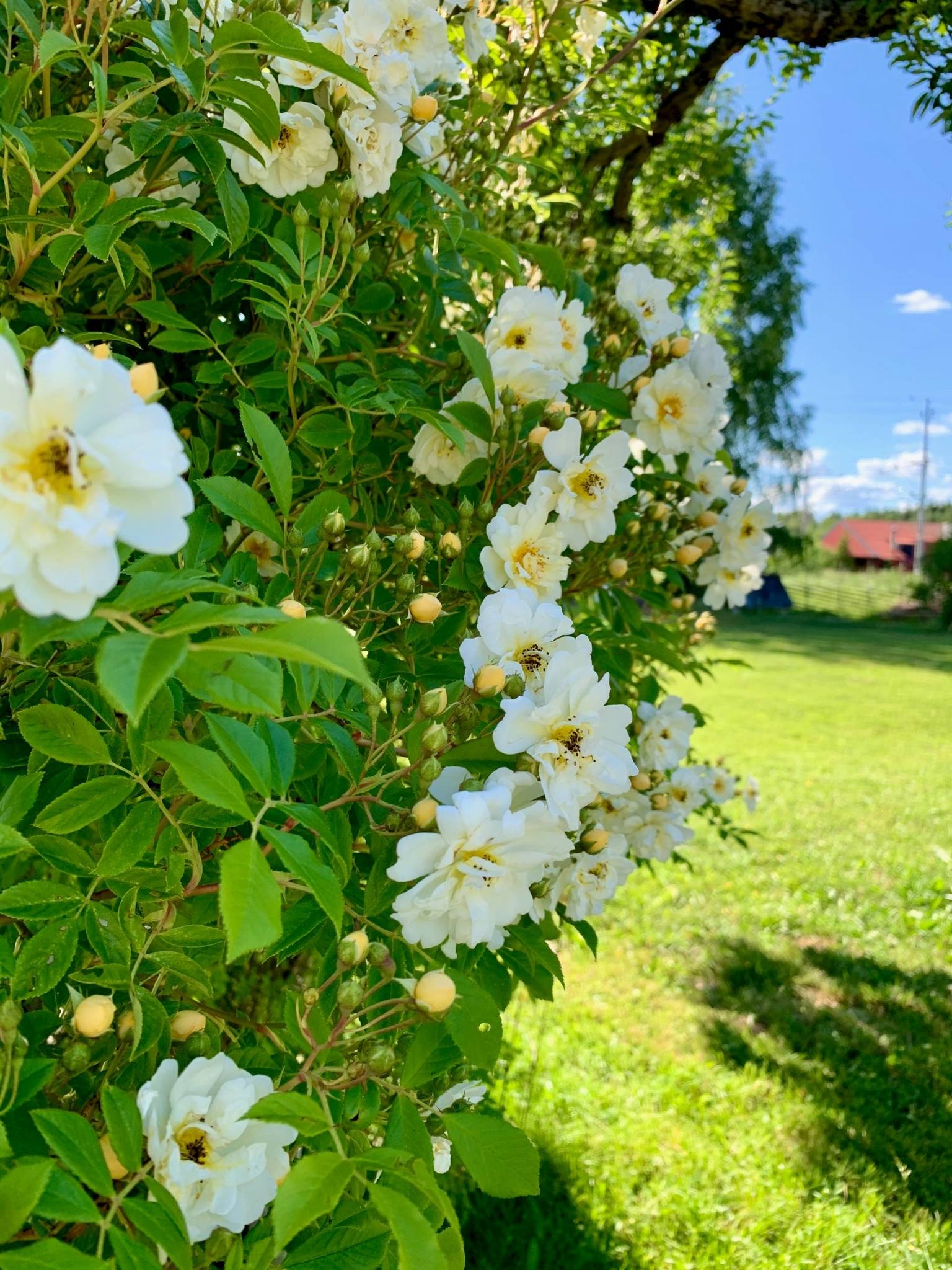 7 rum Villa på Slöjdvägen 11 Mehedeby Tierps kommun - bild 5