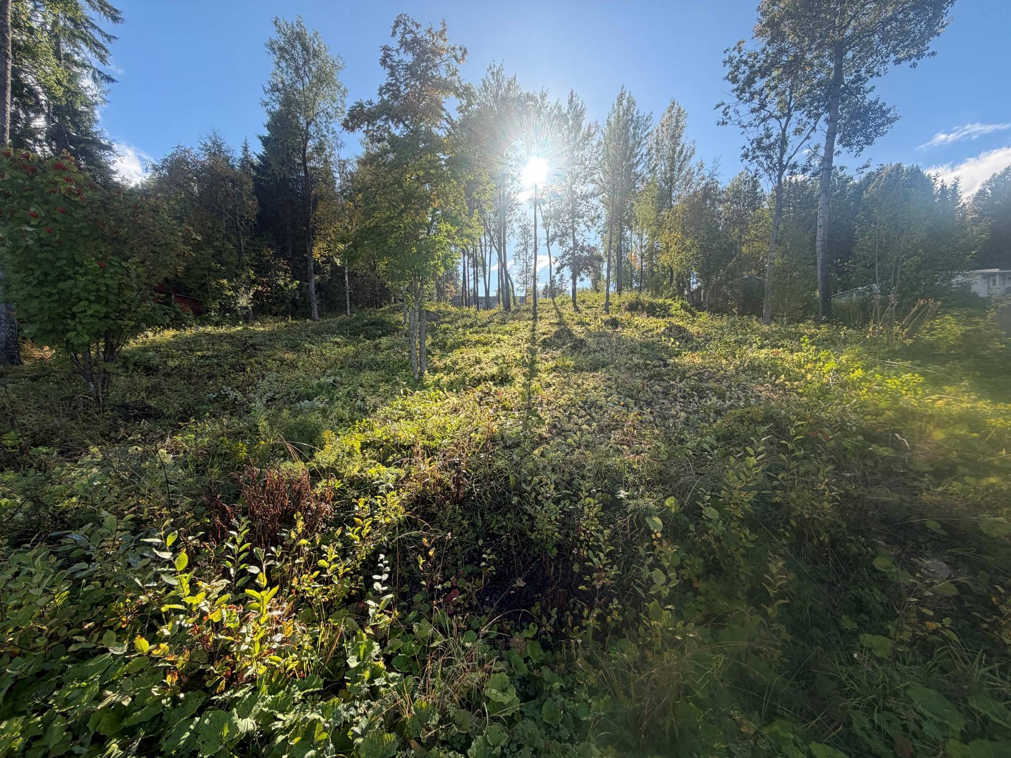 5 rum Villa på Hjälmtorpet 119 Frösön Östersunds kommun - bild 9