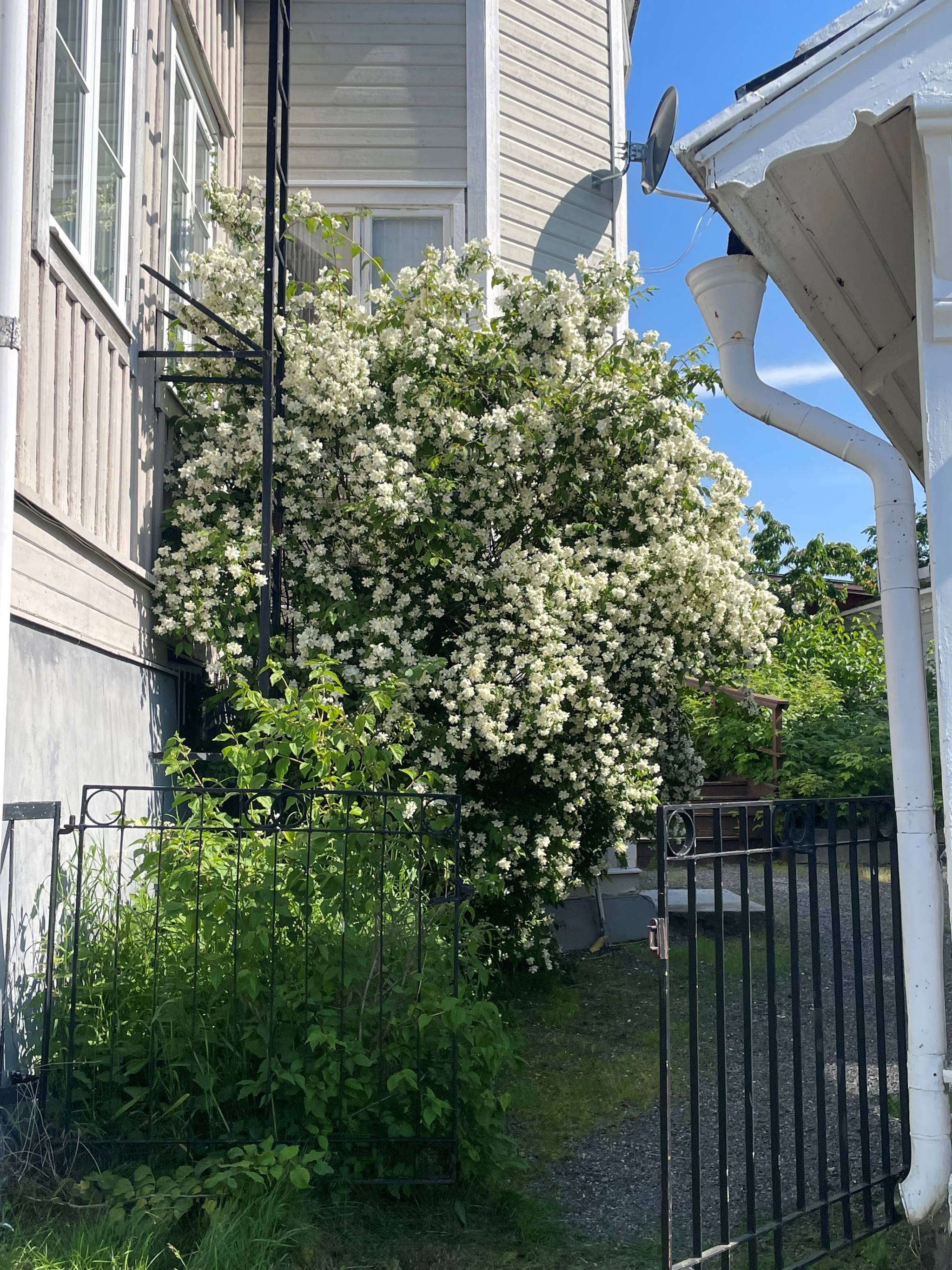 8 rum Villa på Franzéngatan 10 Centrum Härnösands kommun - bild 56