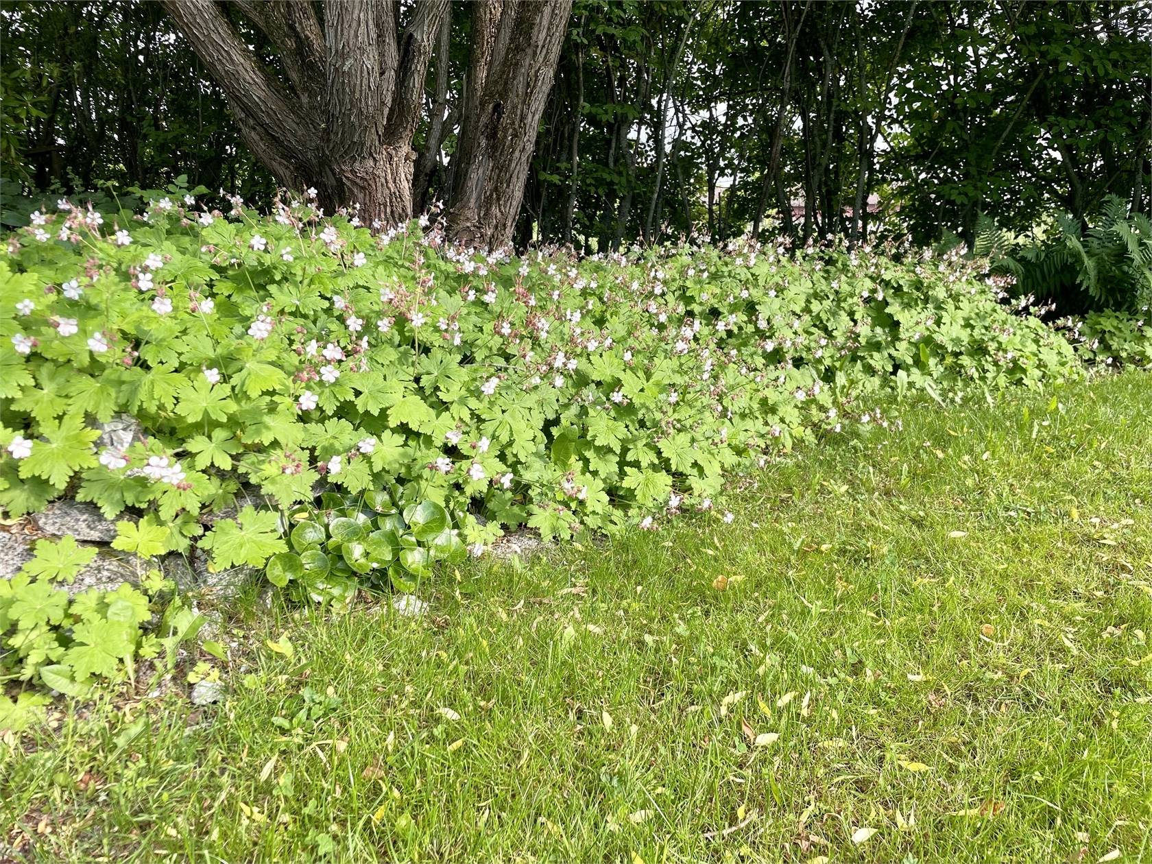 3 rum Vinterbonat fritidshus på Horrsta 143 Heby Heby kommun - bild 46