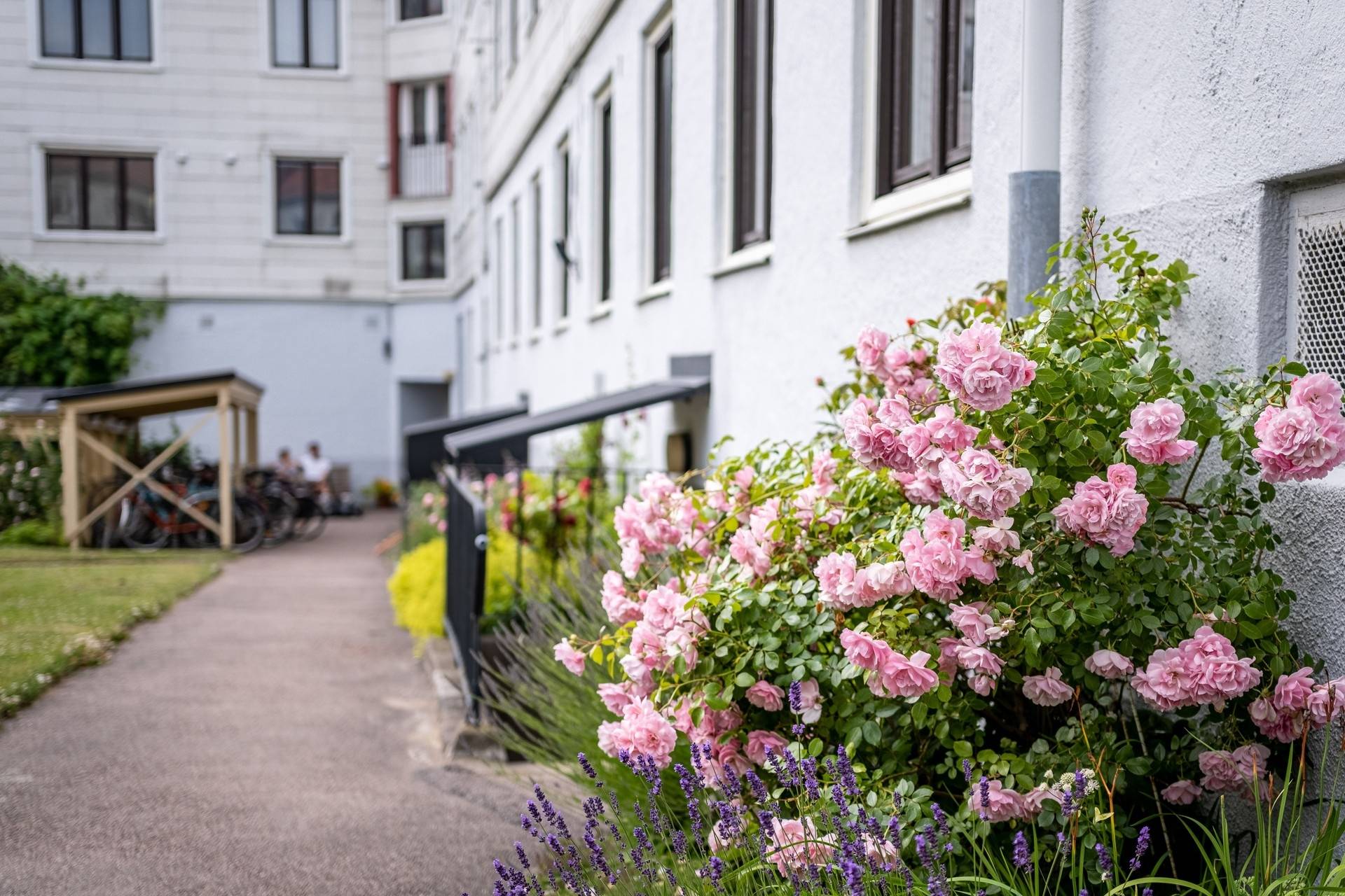 1 rum Lägenhet på Älvsborgsplan 5J Kungsladugård Göteborgs kommun - bild 21