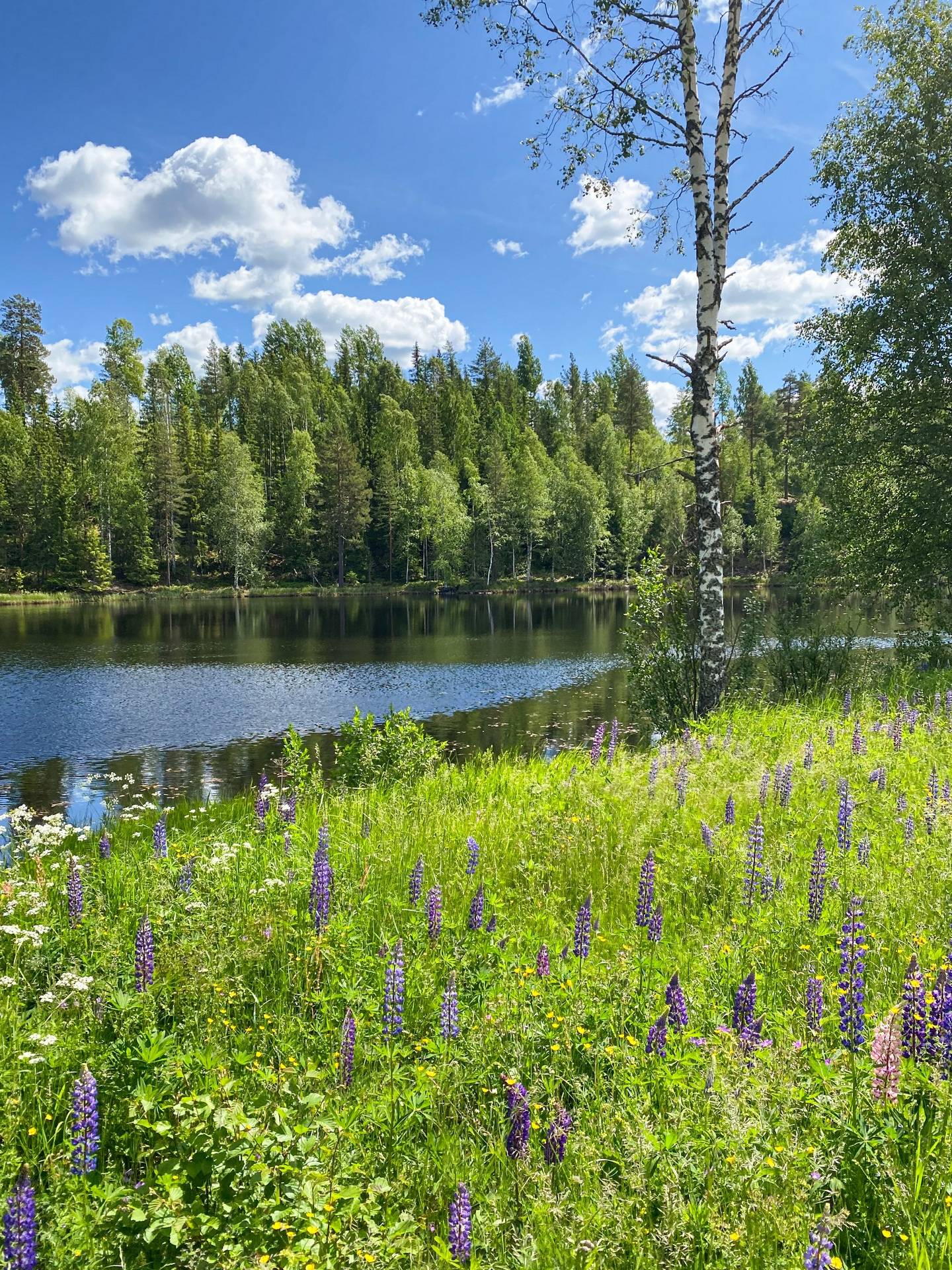 4 rum Villa på Skenshyttan 171 Borlänge Säters kommun - bild 18