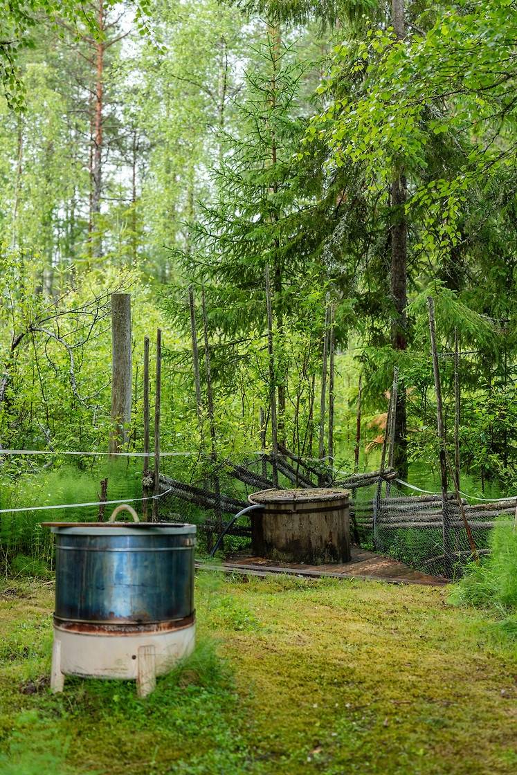 60 m² Fritidshus på Brunnvasselbodarna 118 Brunnvasselbodarna Mora kommun - bild 47